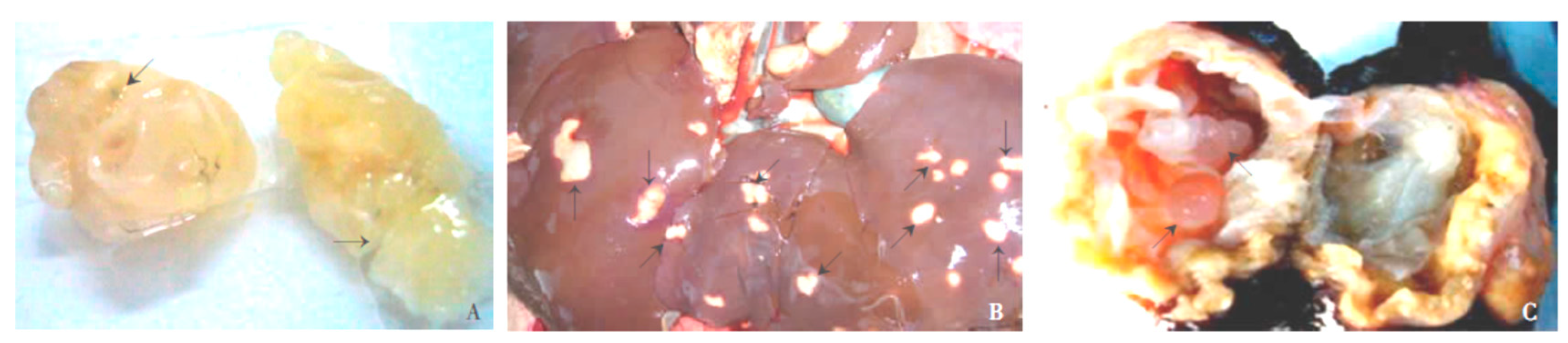 Diseases 07 00051 g003