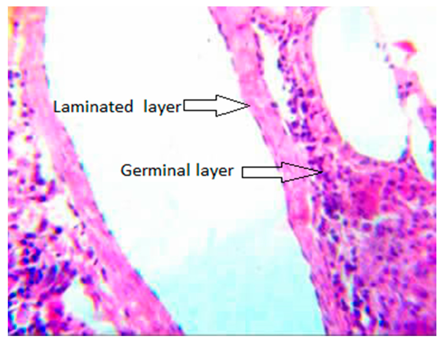 Diseases 07 00051 g004