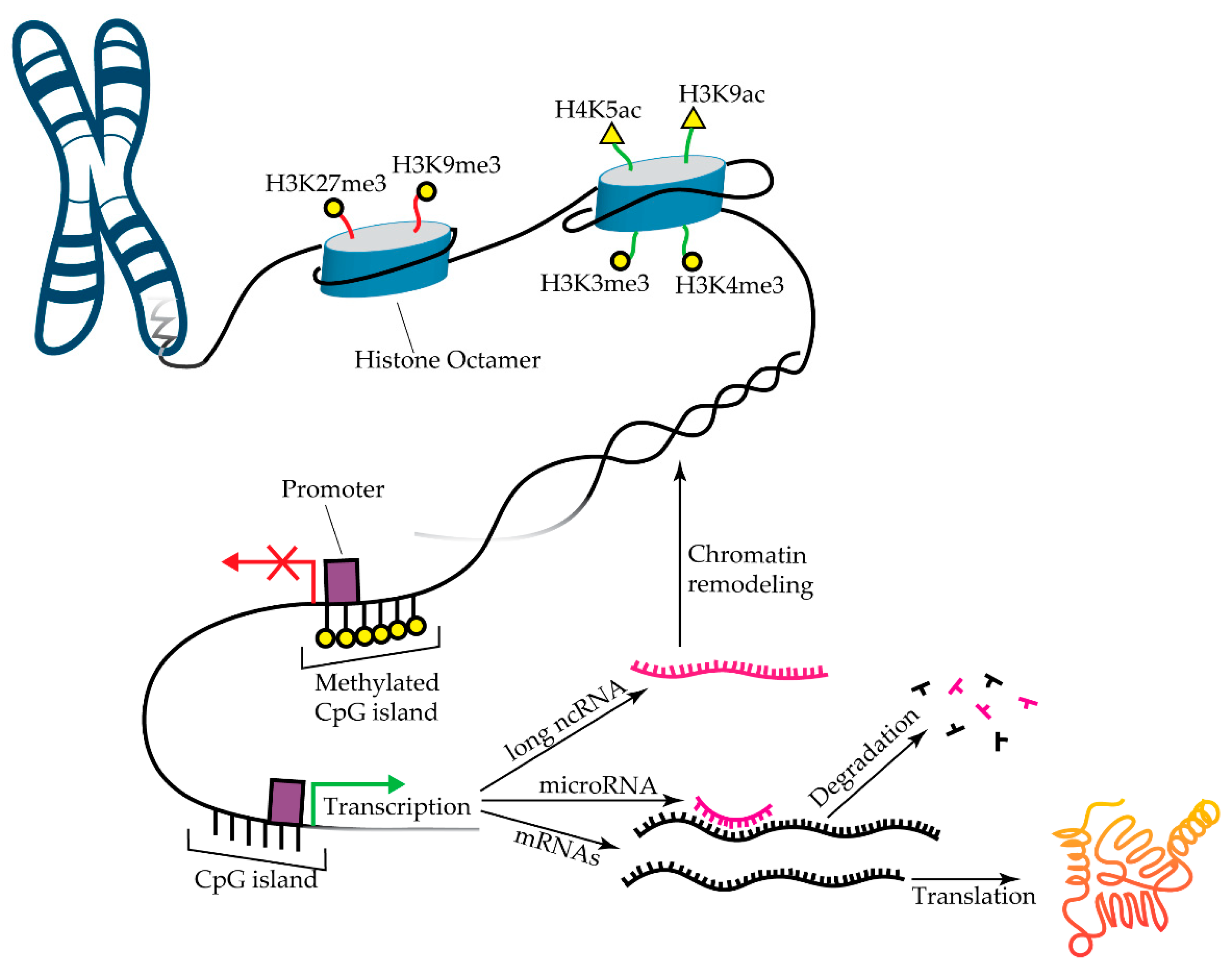 Diseases 07 00052 g002