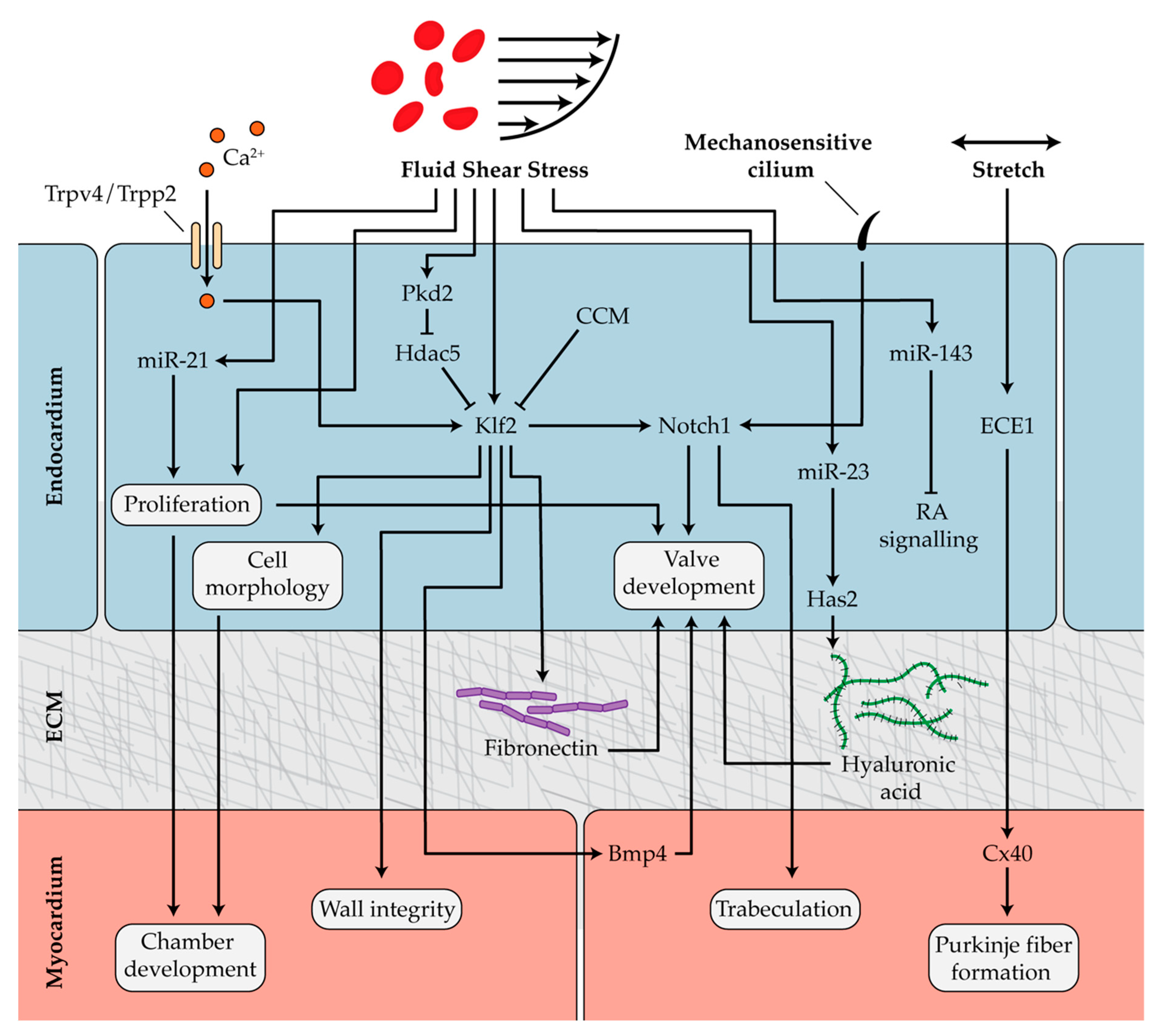 Diseases 07 00052 g003