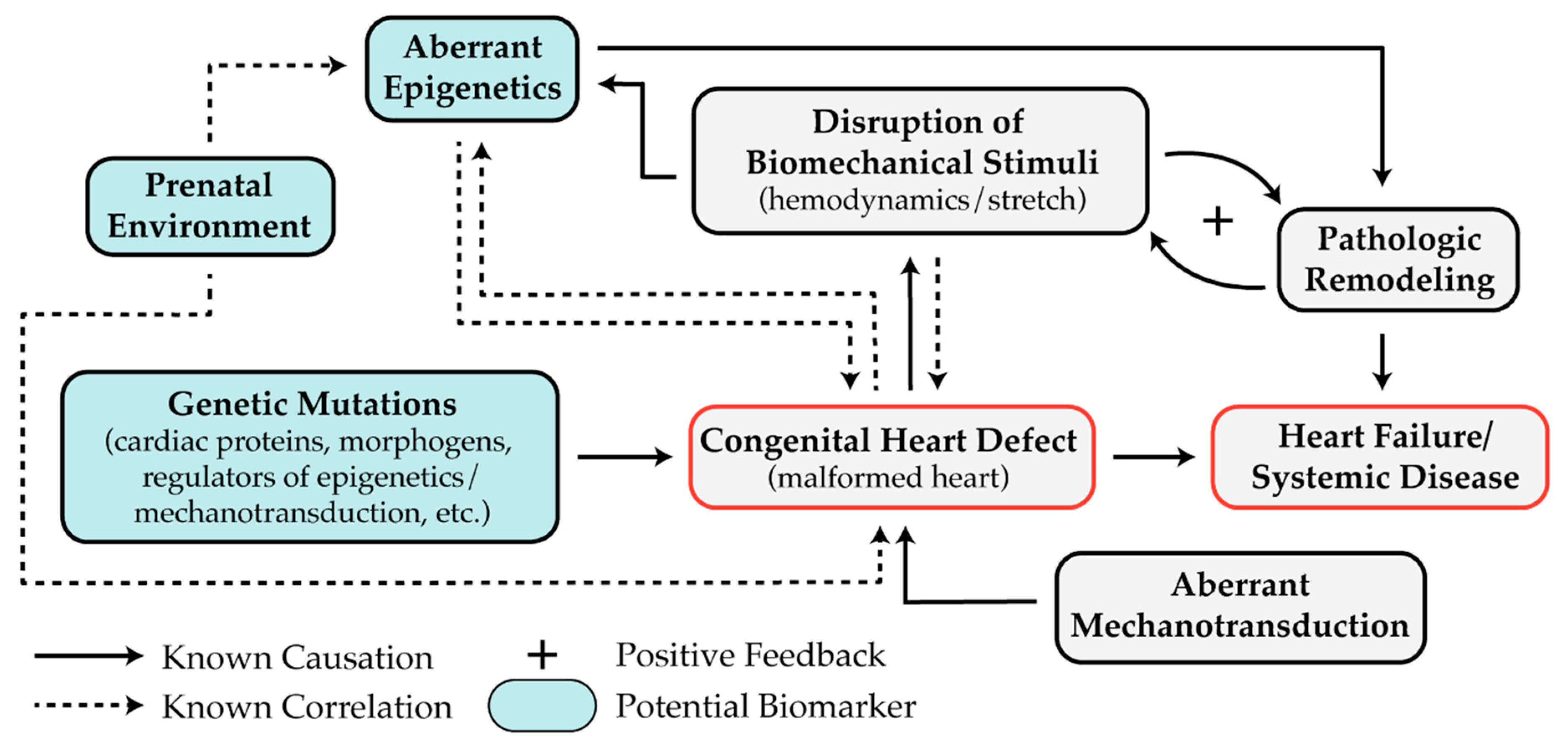 Diseases 07 00052 g004