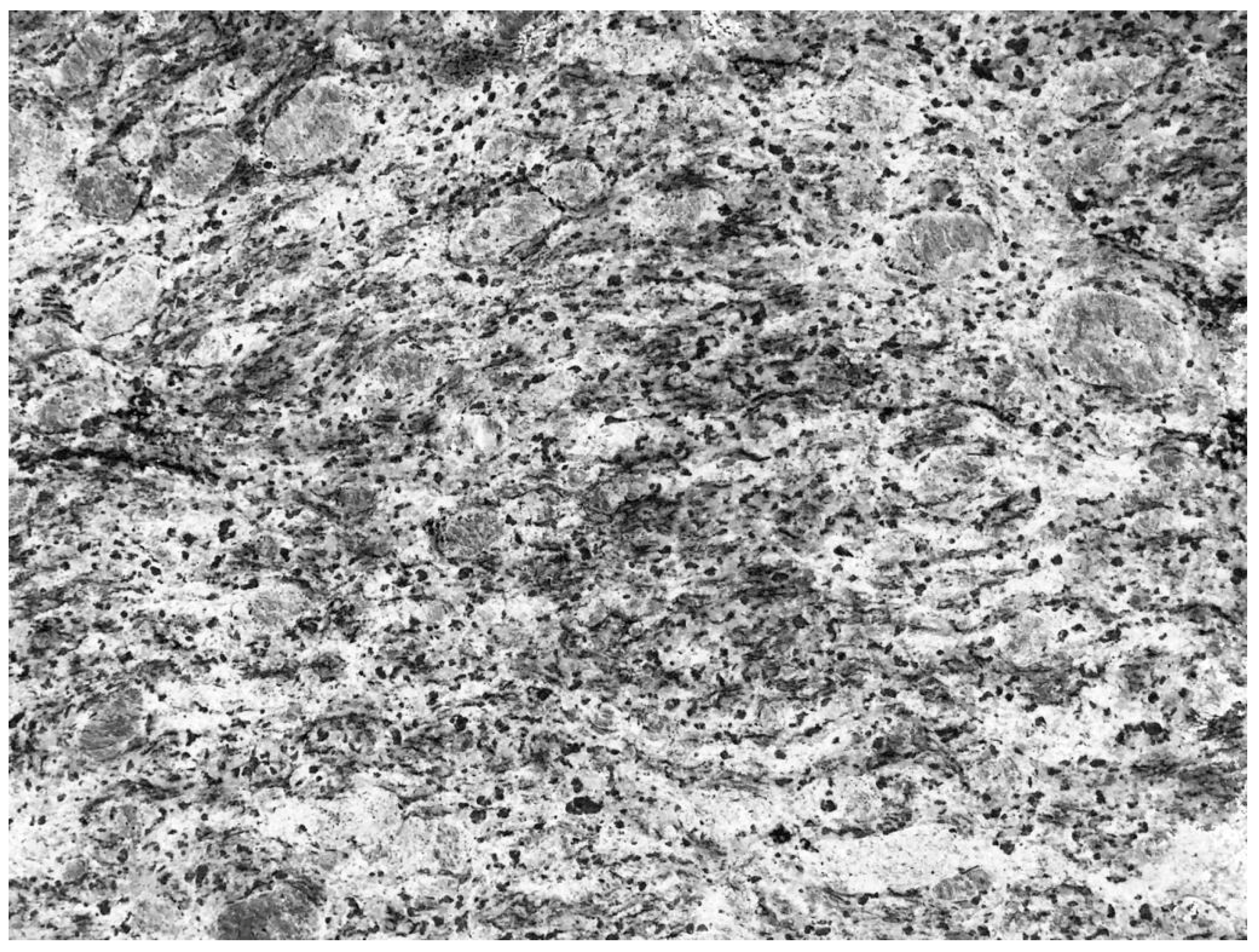 Diseases 07 00054 g001 Diseases 07 00054 g001