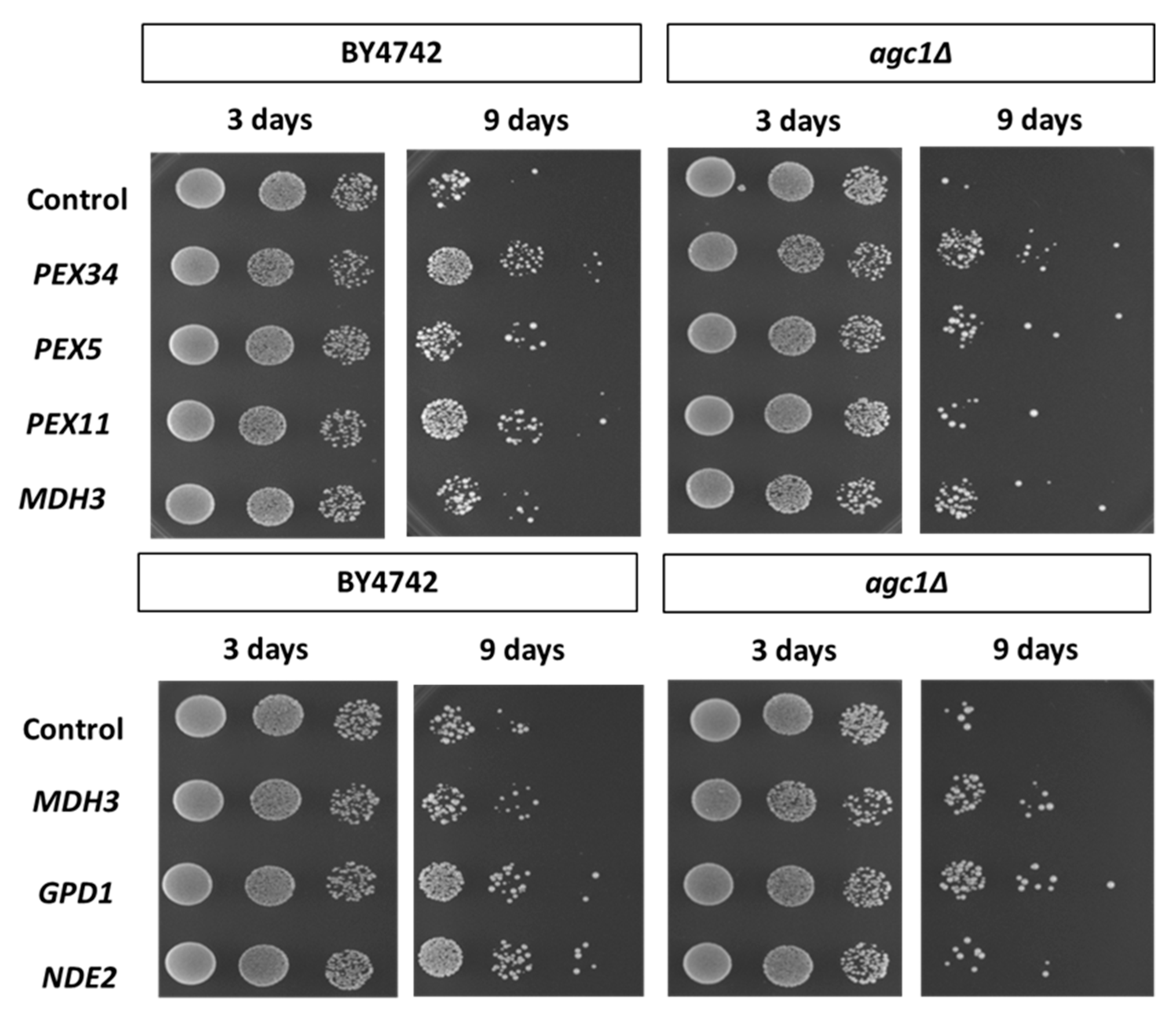 Diseases 08 00002 g003