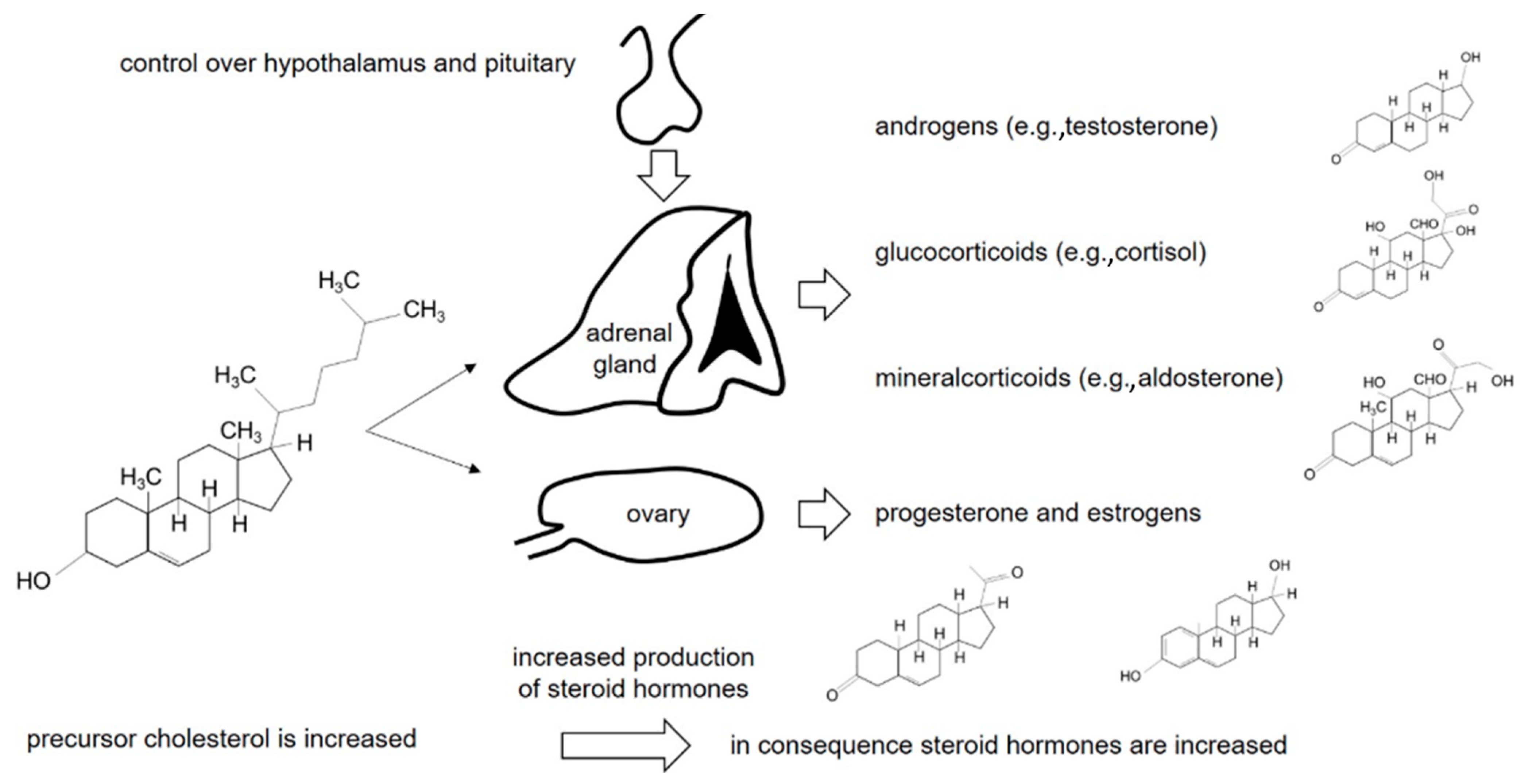 Diseases 08 00006 g001