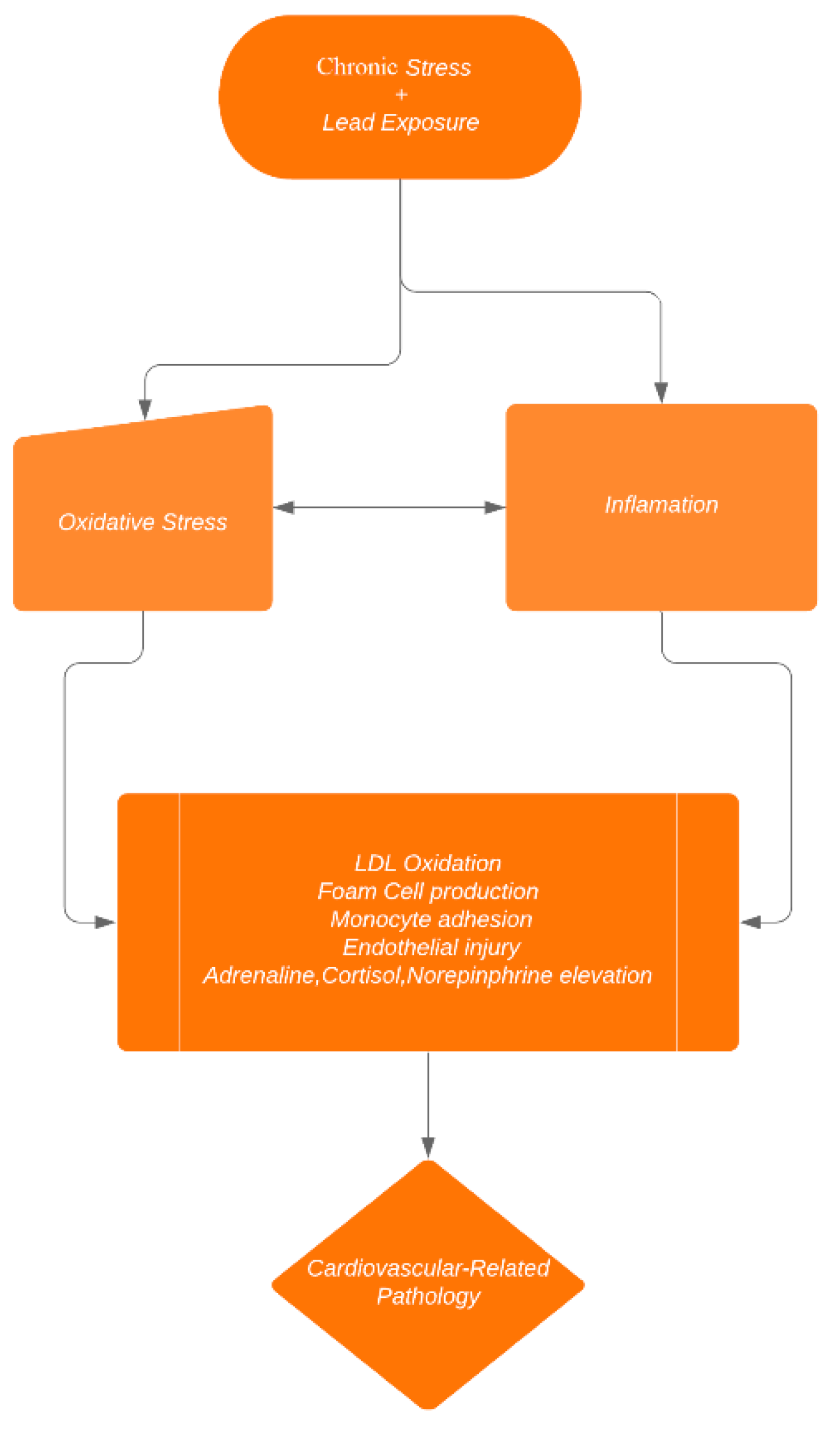 Diseases 08 00007 g001