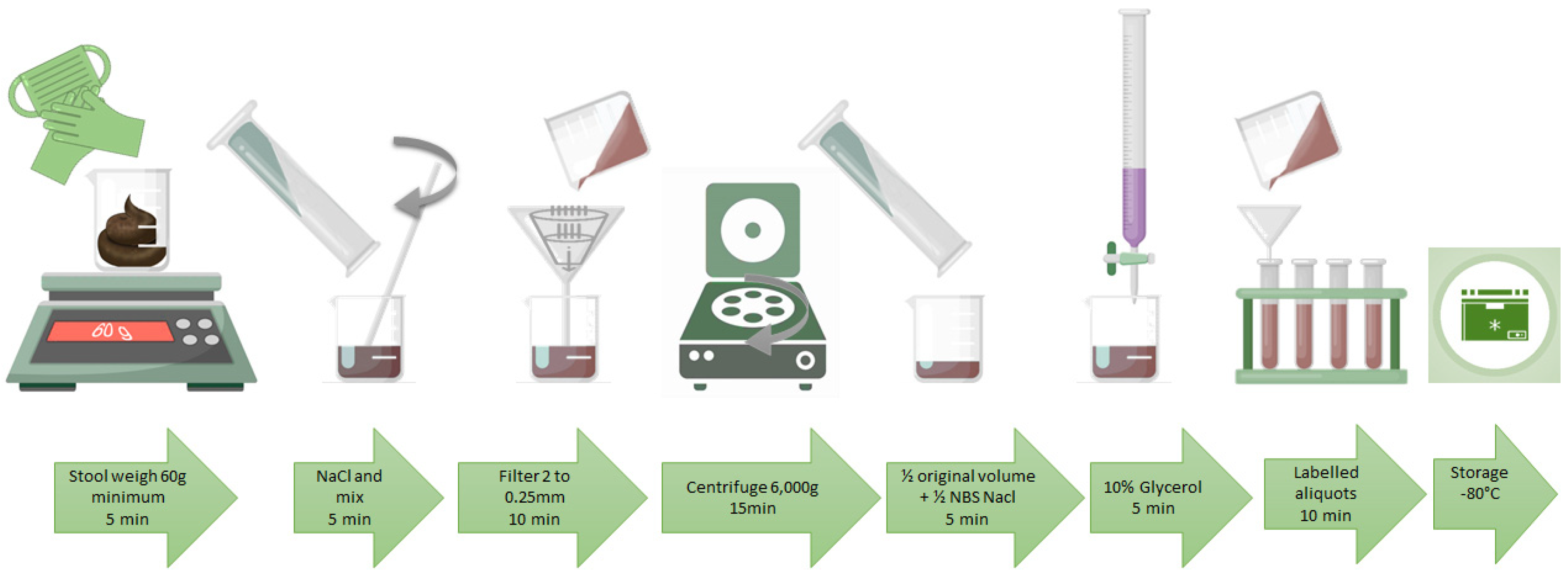 Diseases 08 00009 g002