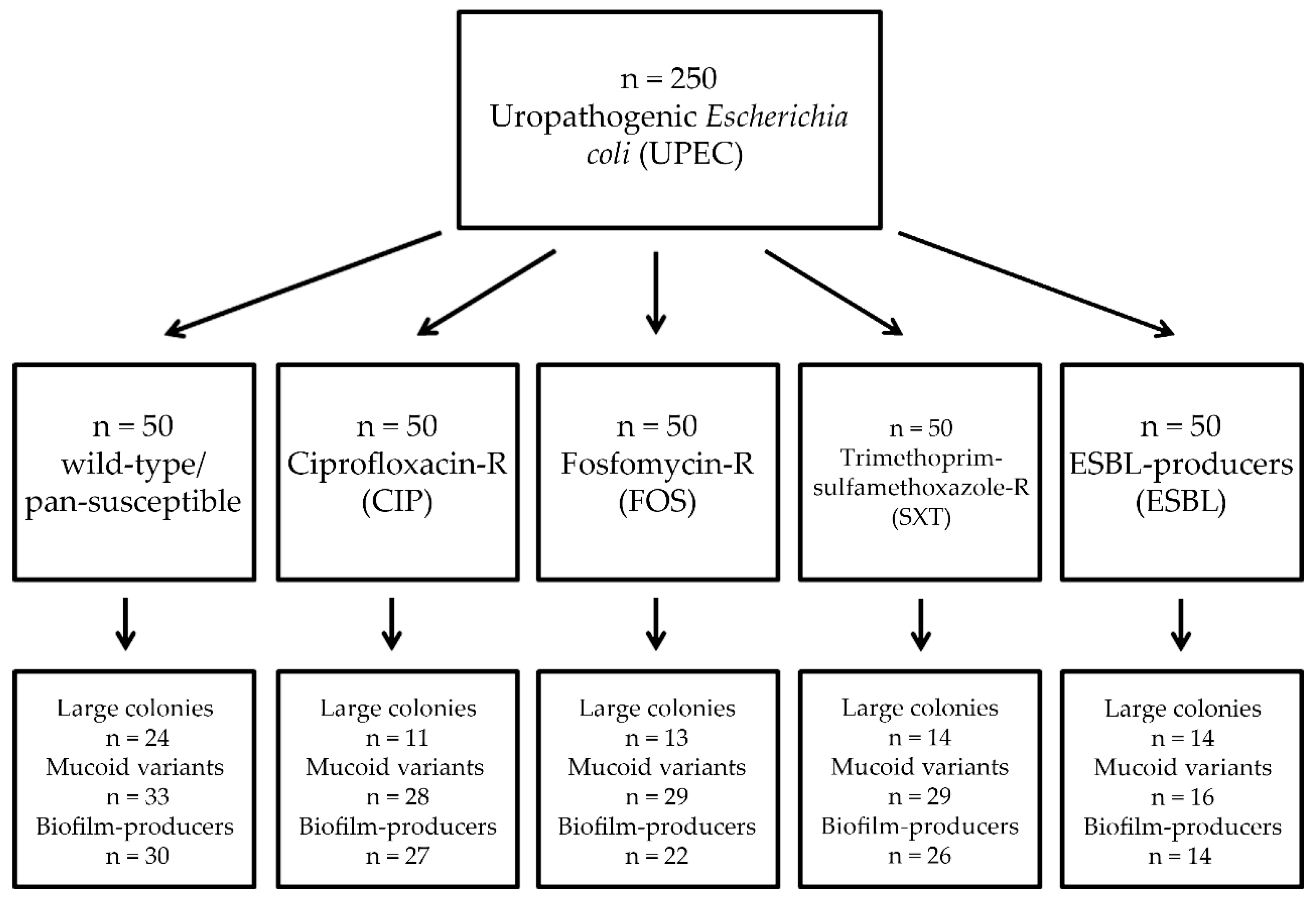 Diseases 08 00017 g001