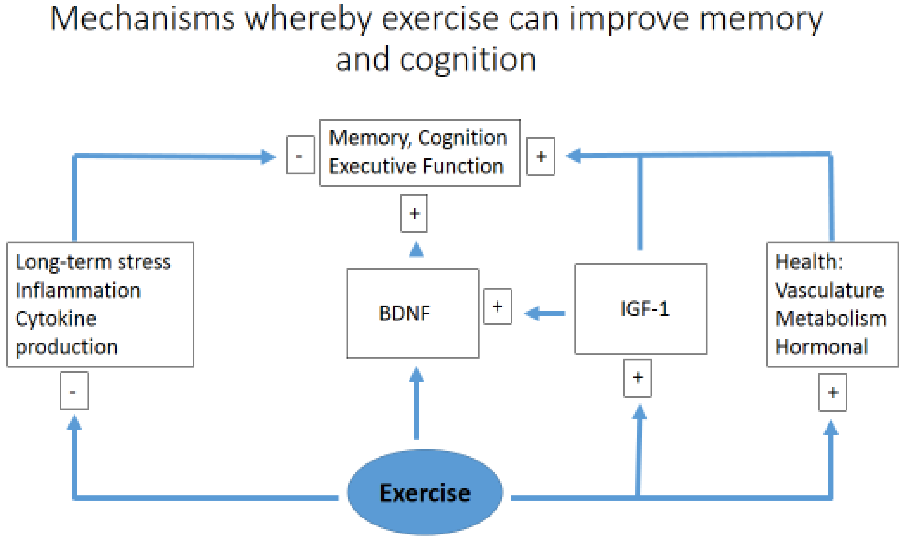 Diseases 08 00018 g002