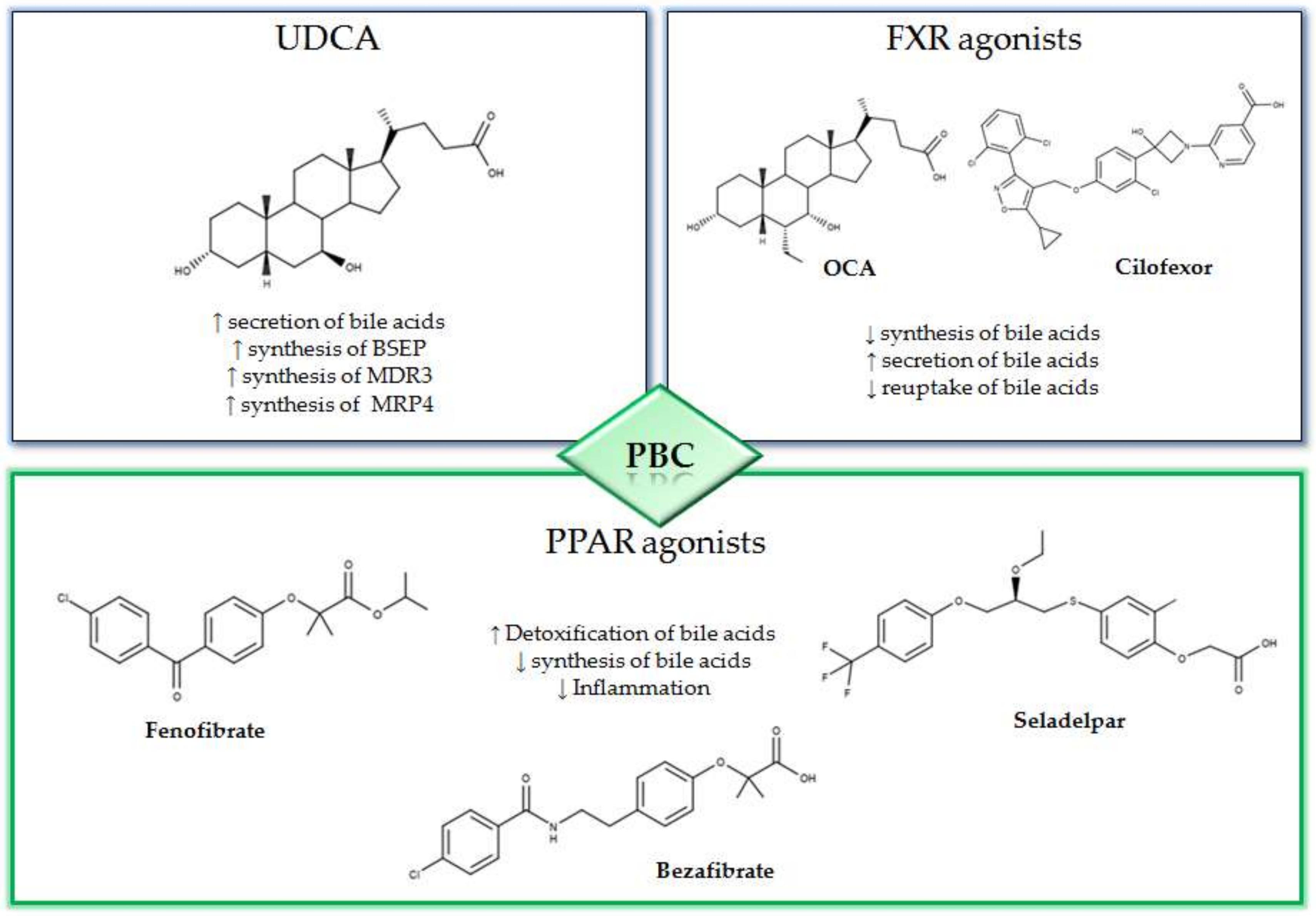 Diseases 08 00020 g001