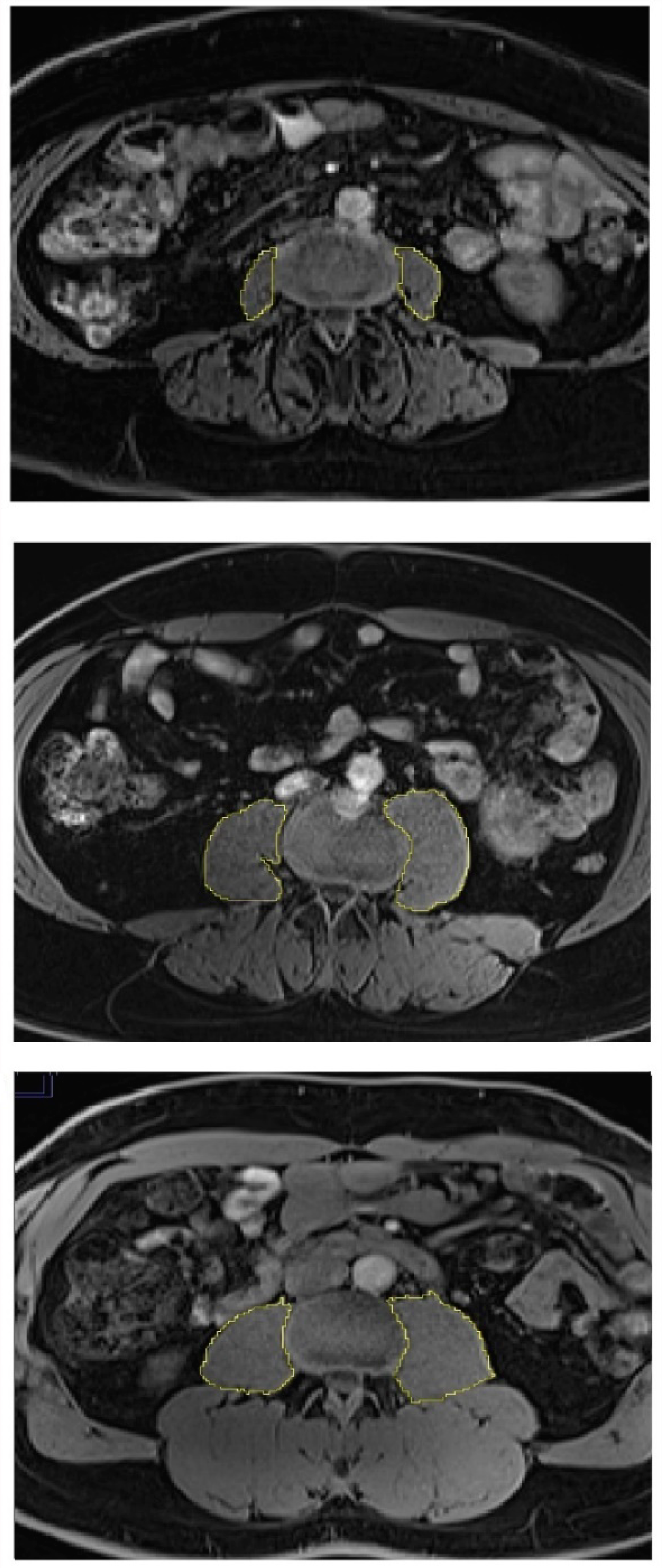 Diseases 08 00025 g001