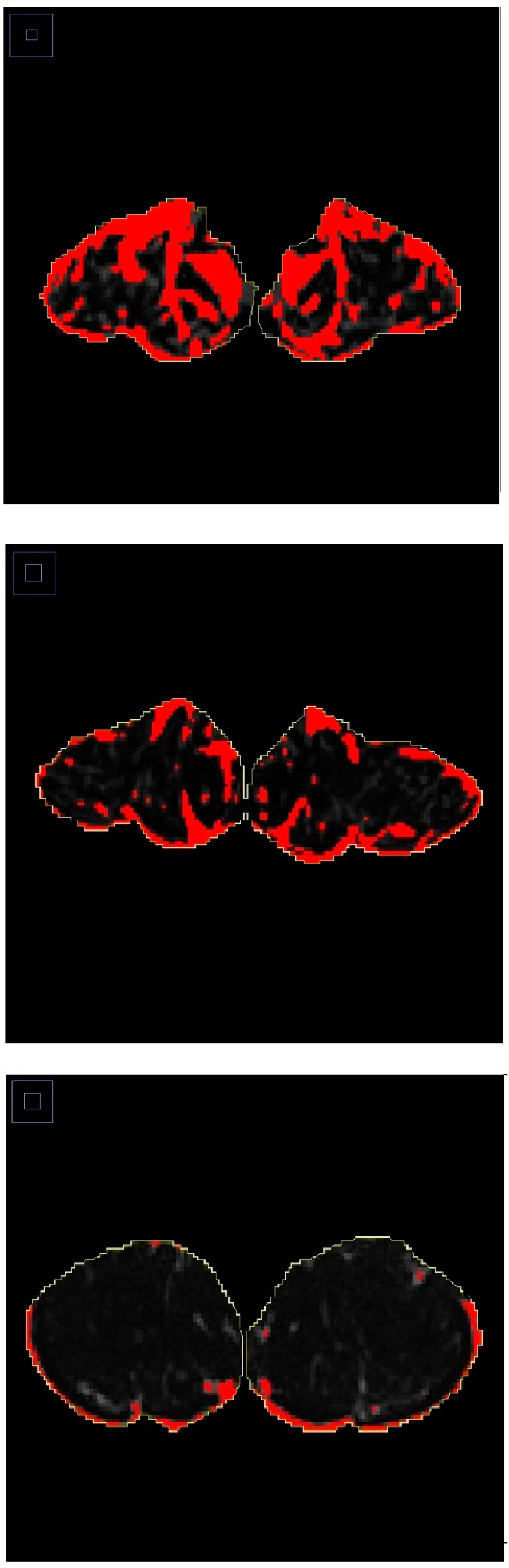 Diseases 08 00025 g002