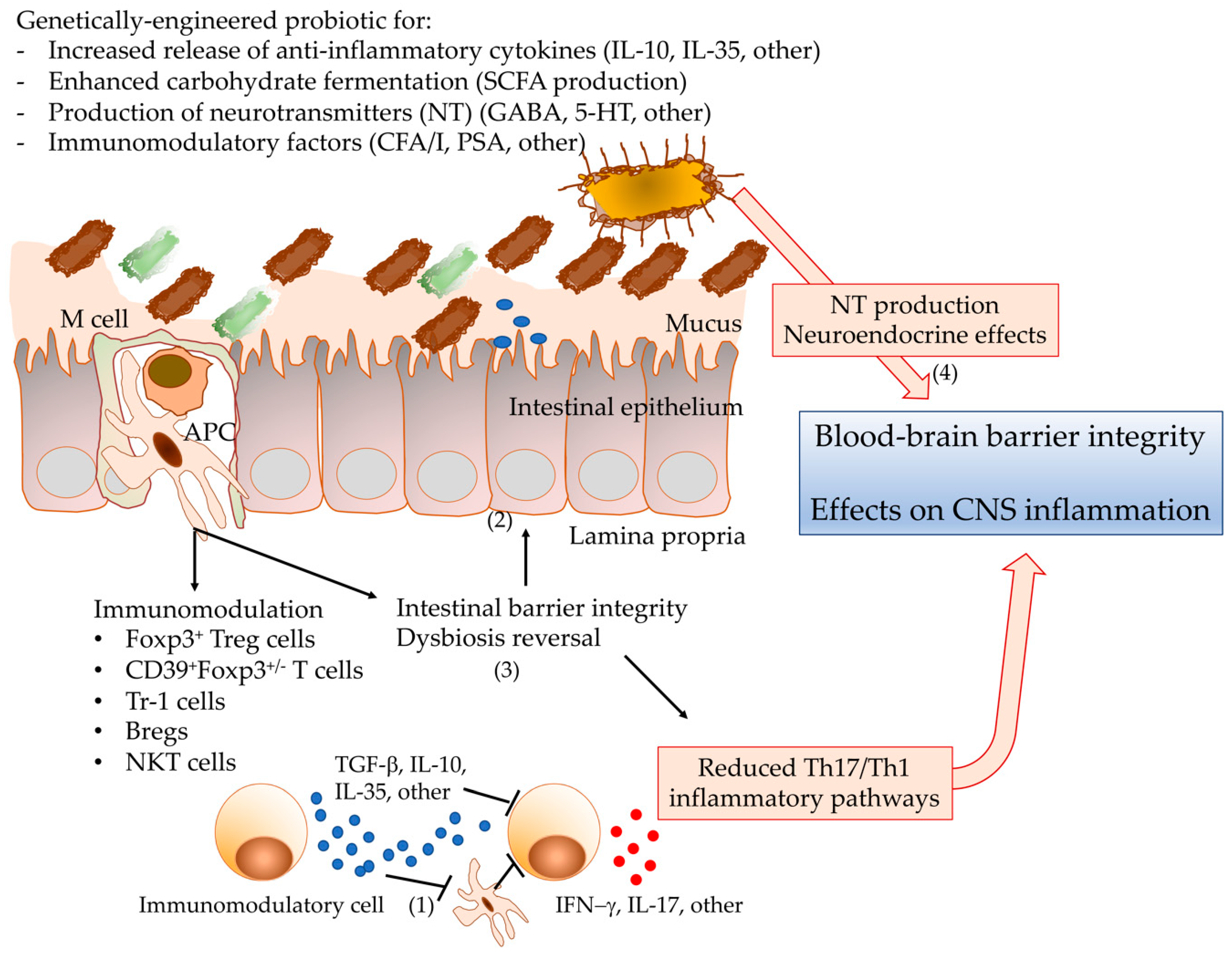 Diseases 08 00033 g001
