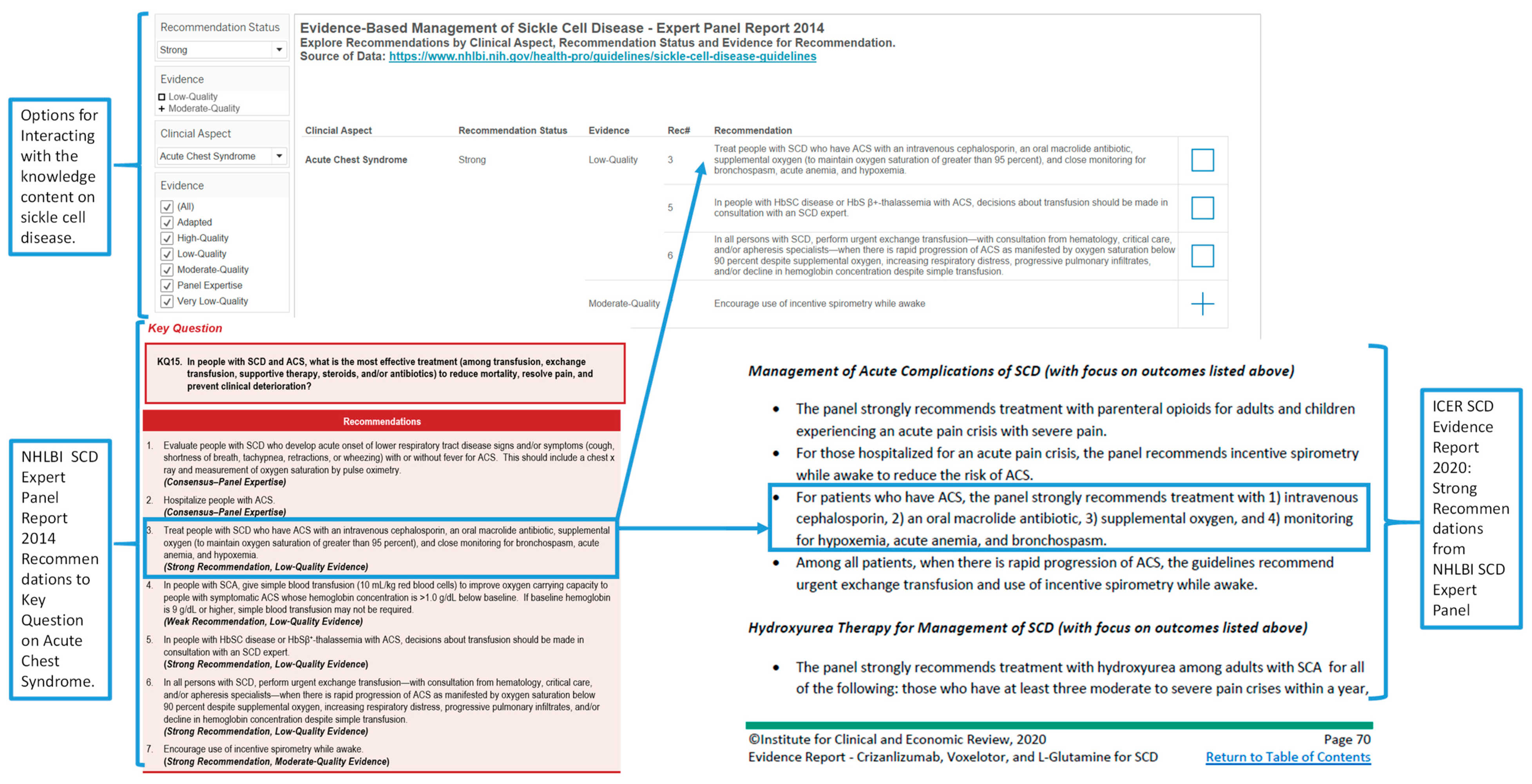 Diseases 08 00039 g011