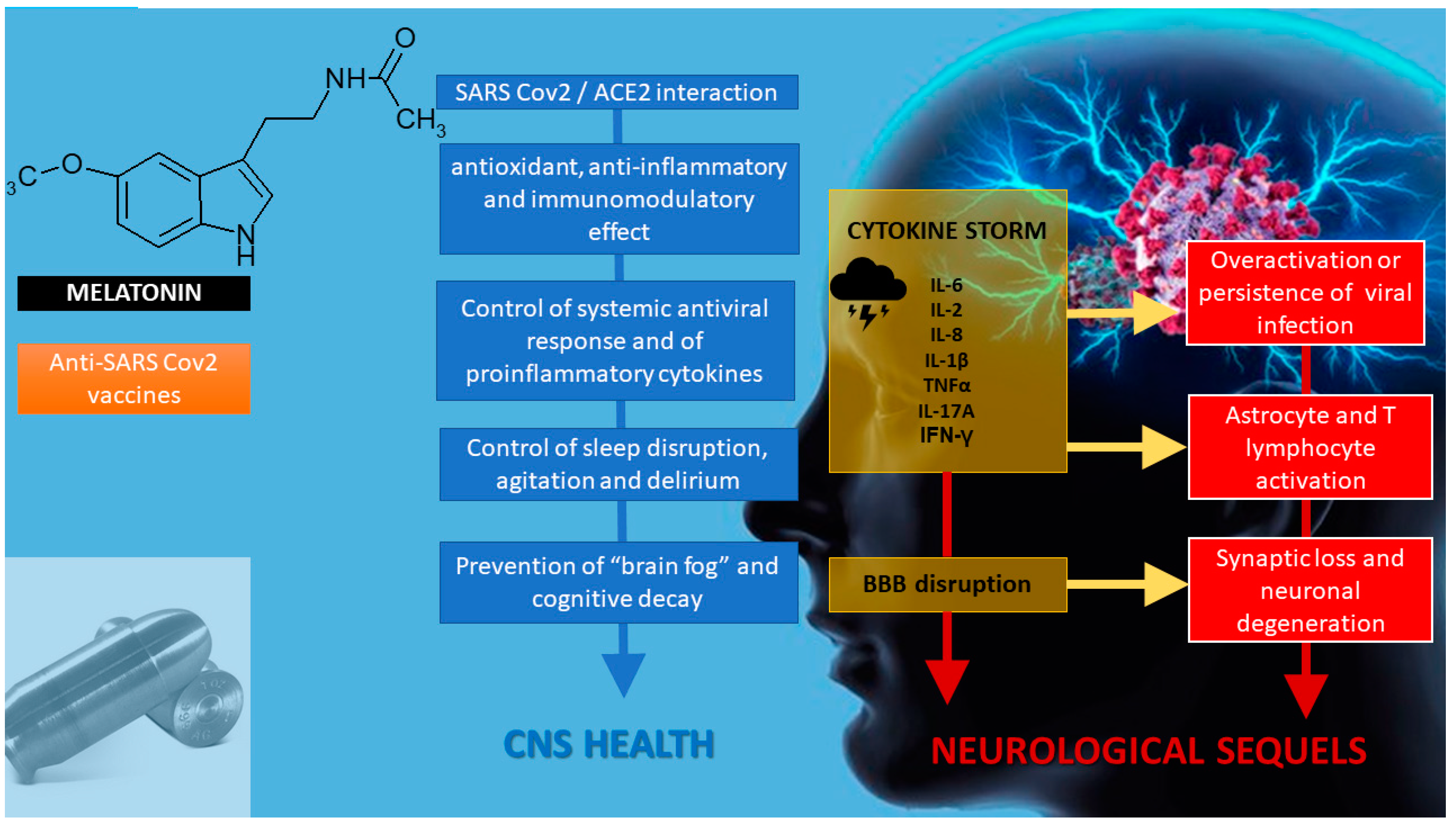 Diseases 08 00044 g001