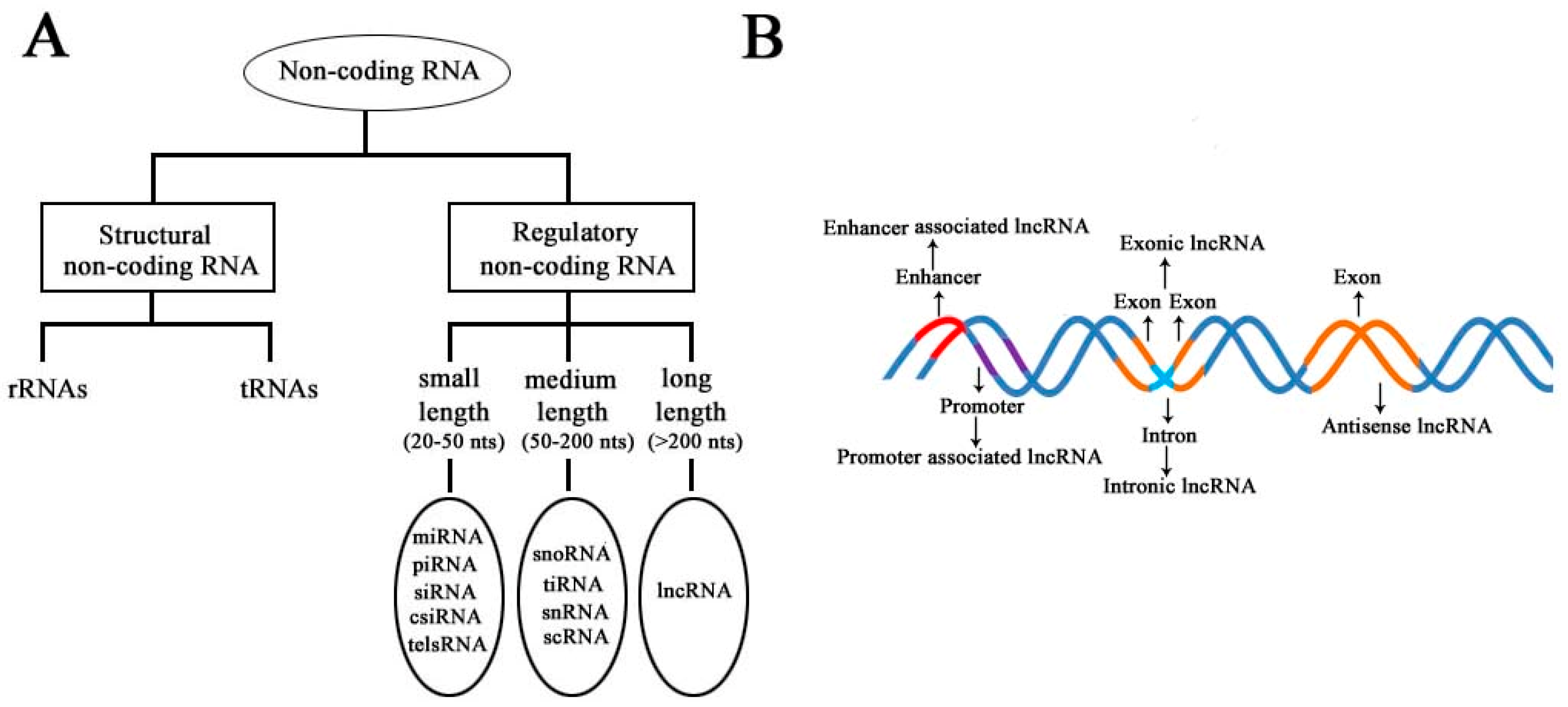 Diseases 09 00008 g001