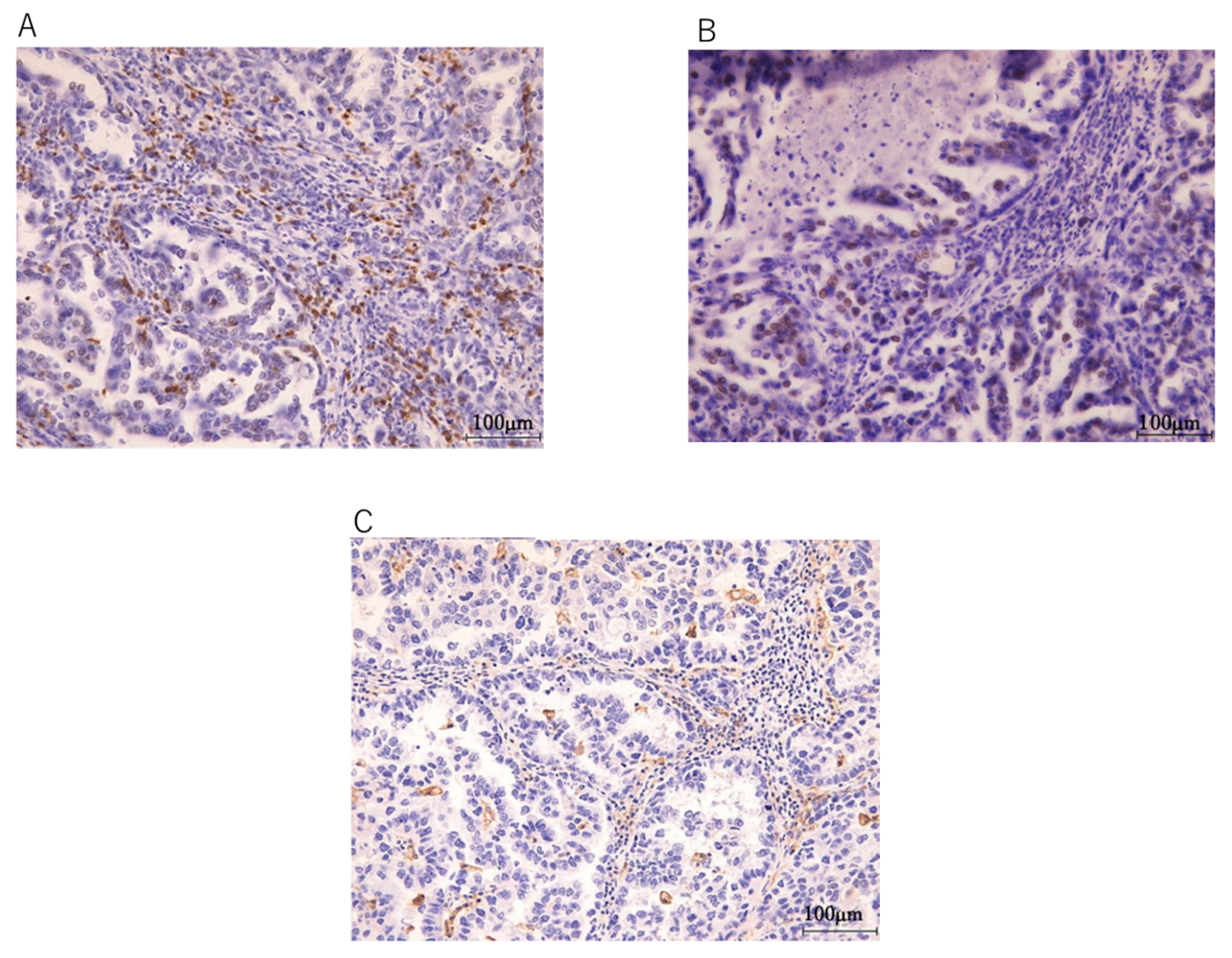 Diseases 09 00014 g005