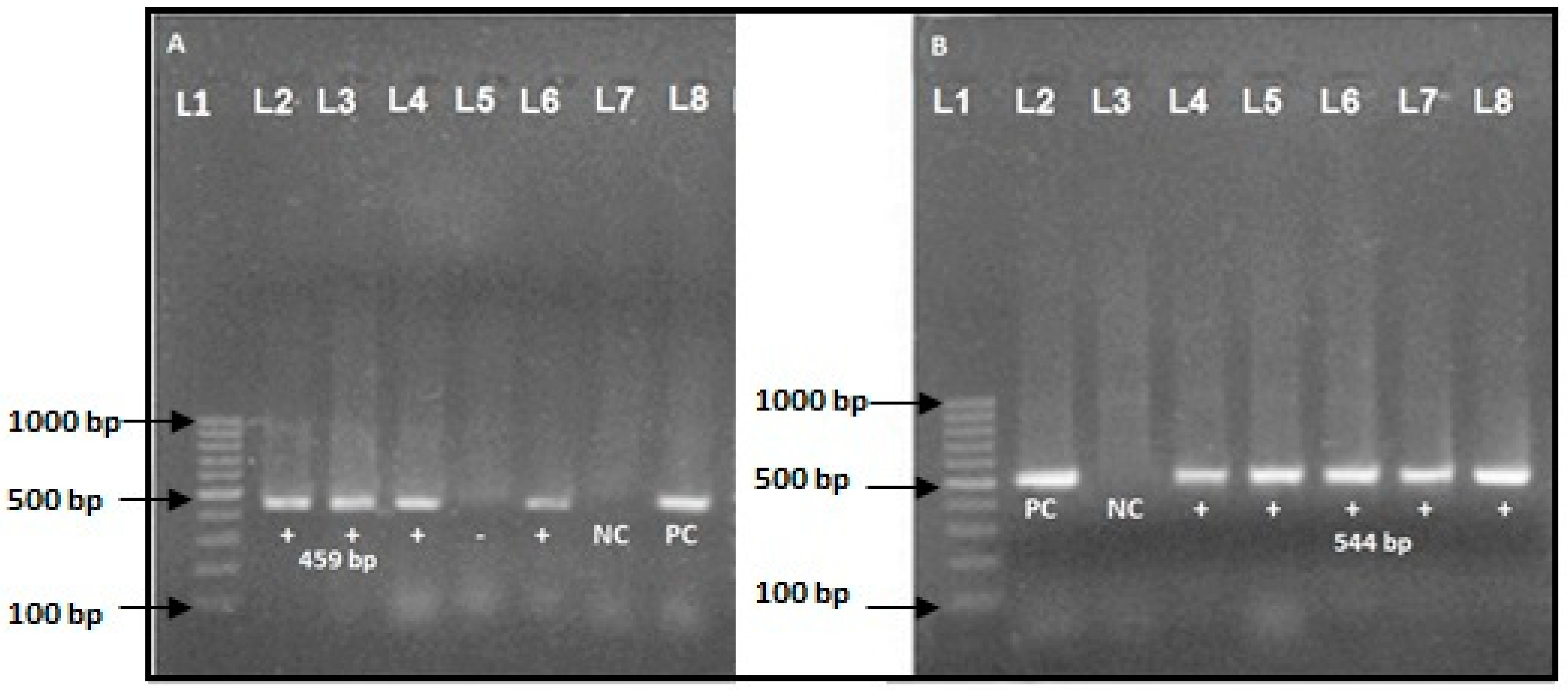 Diseases 09 00015 g004