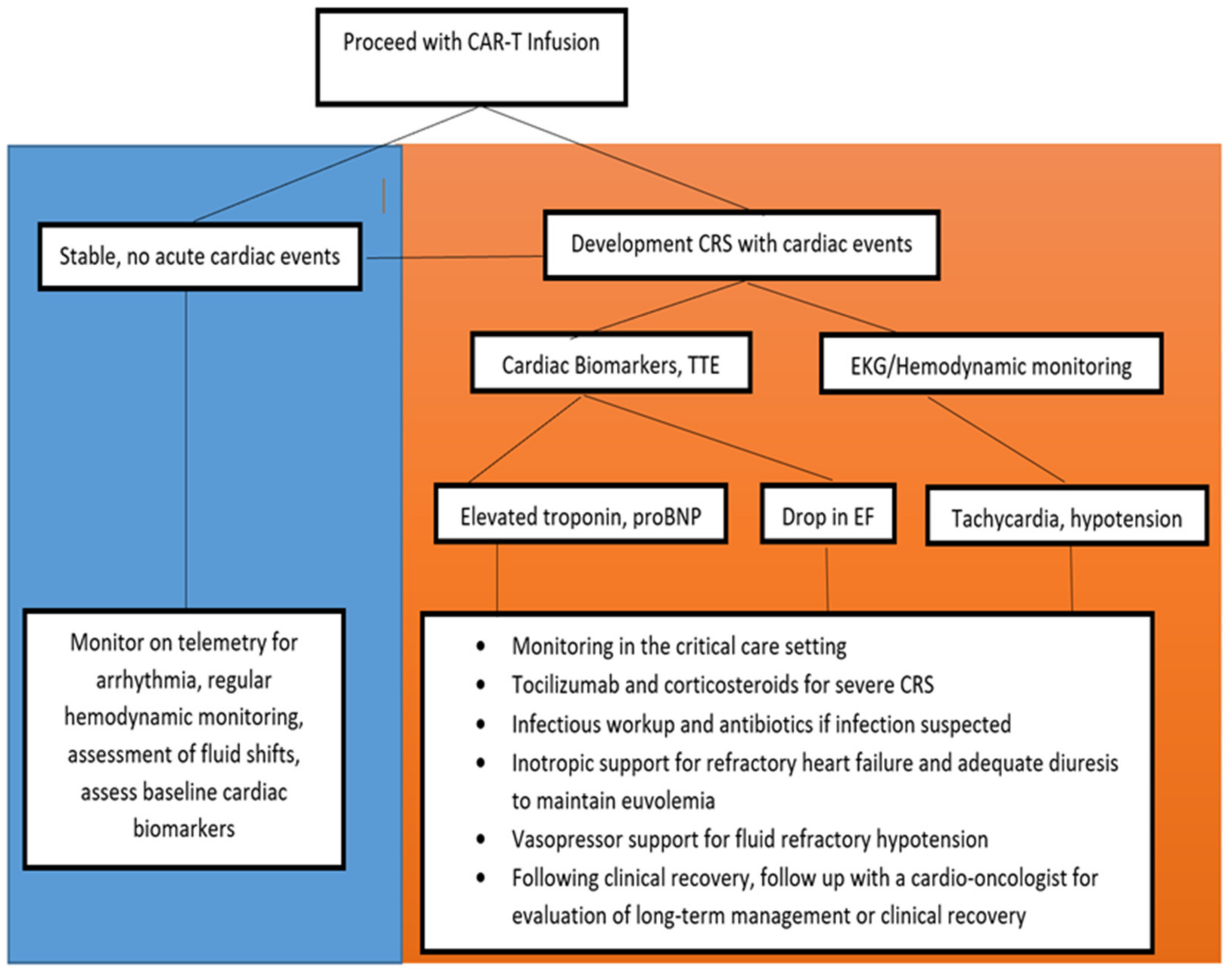 Diseases 09 00020 g003 Diseases 09 00020 g003