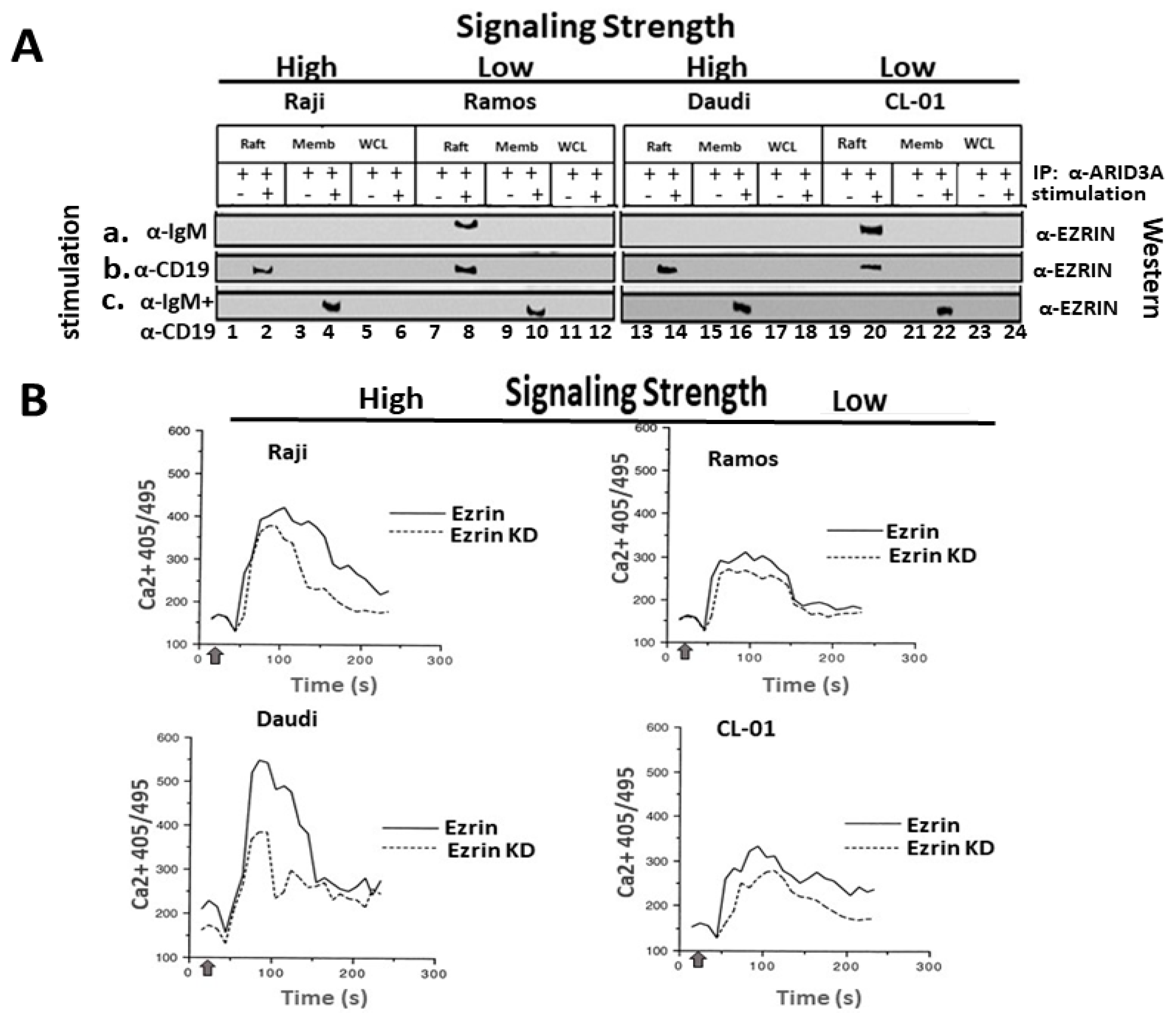 Diseases 09 00022 g001 Diseases 09 00022 g001
