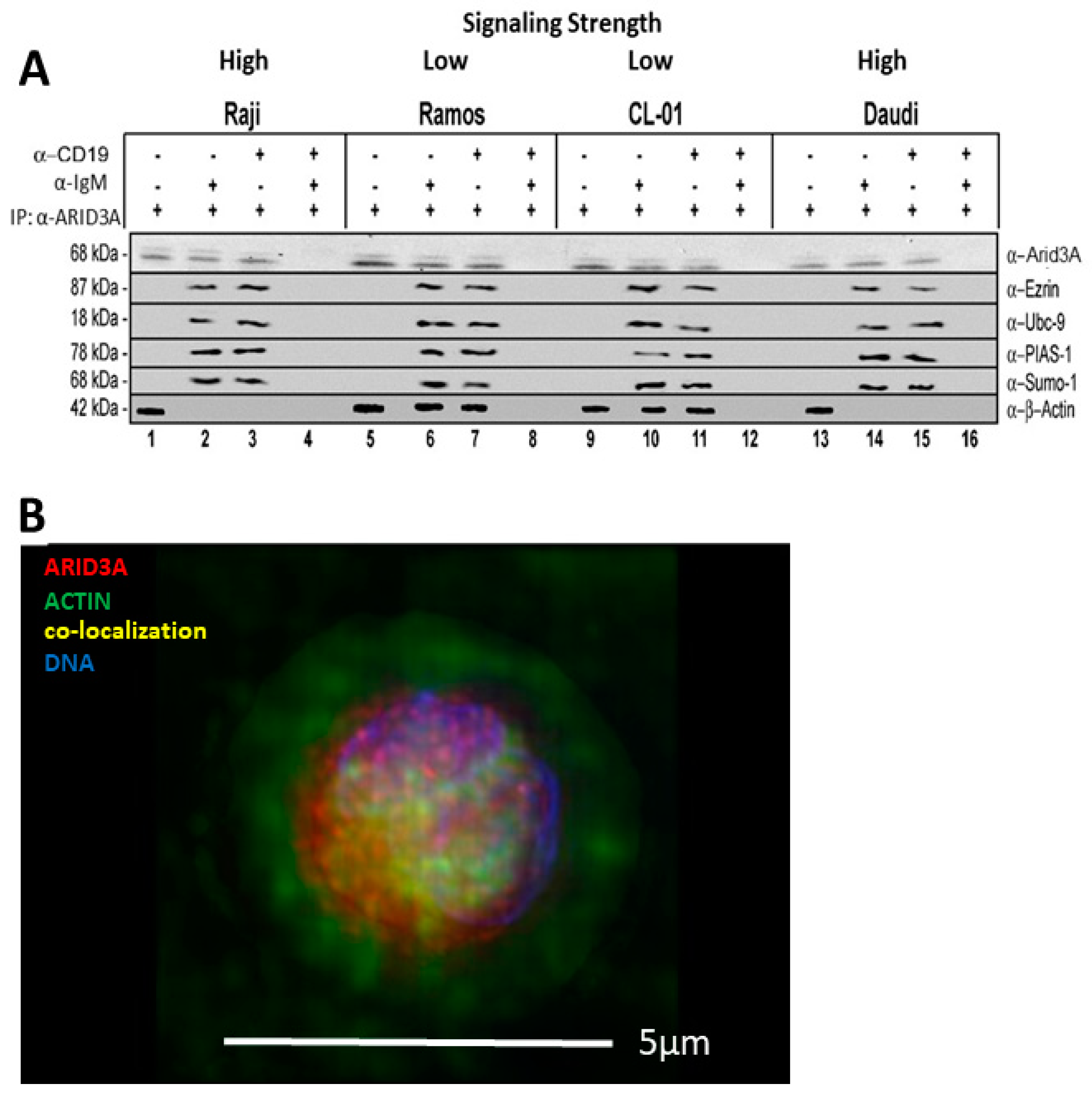 Diseases 09 00022 g002 Diseases 09 00022 g002