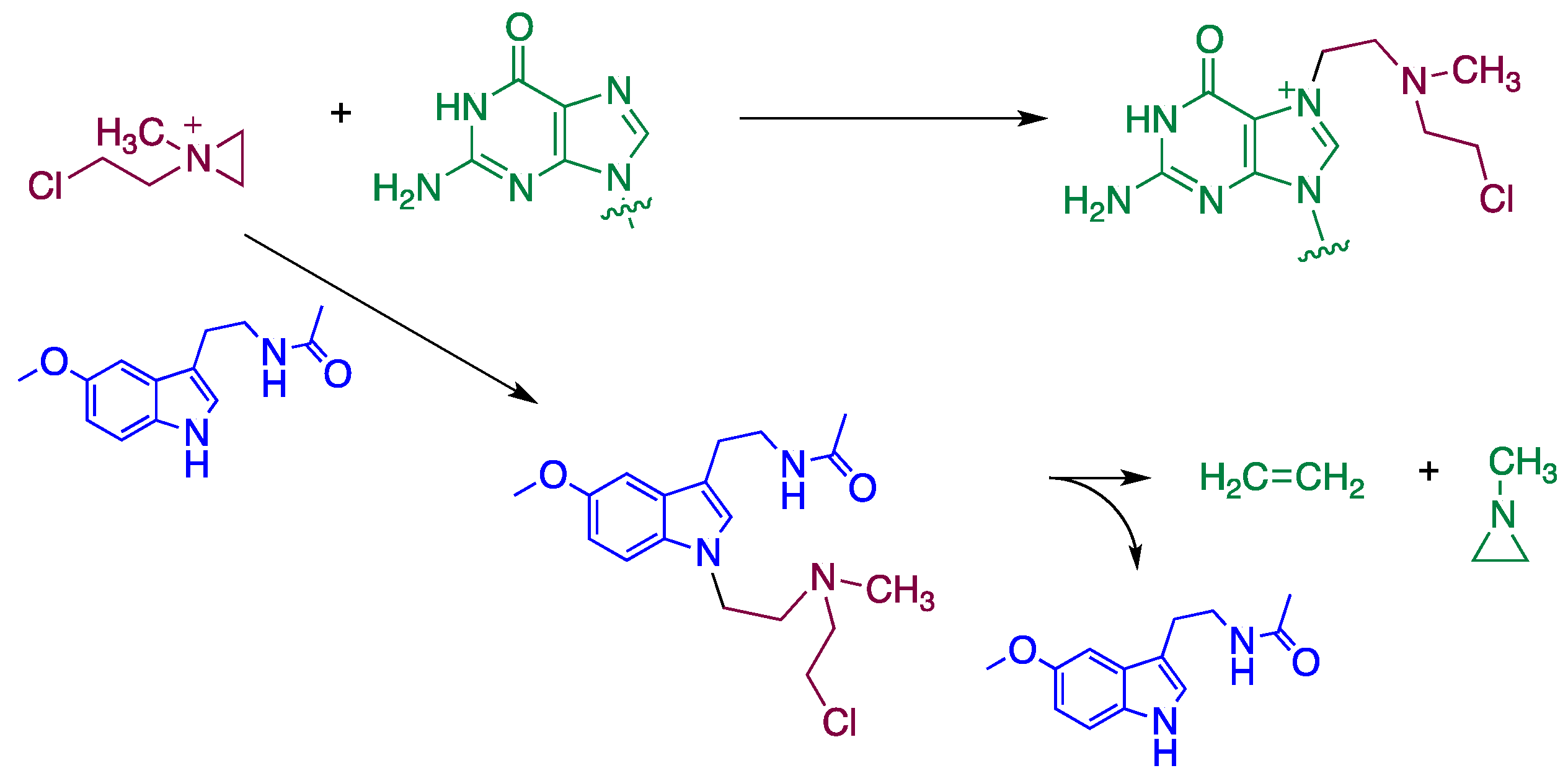 Diseases 09 00027 sch003