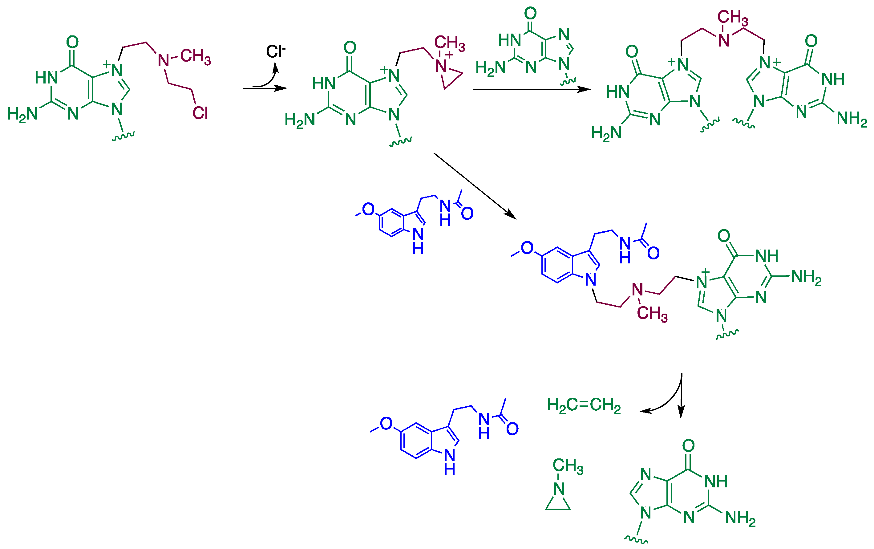 Diseases 09 00027 sch004