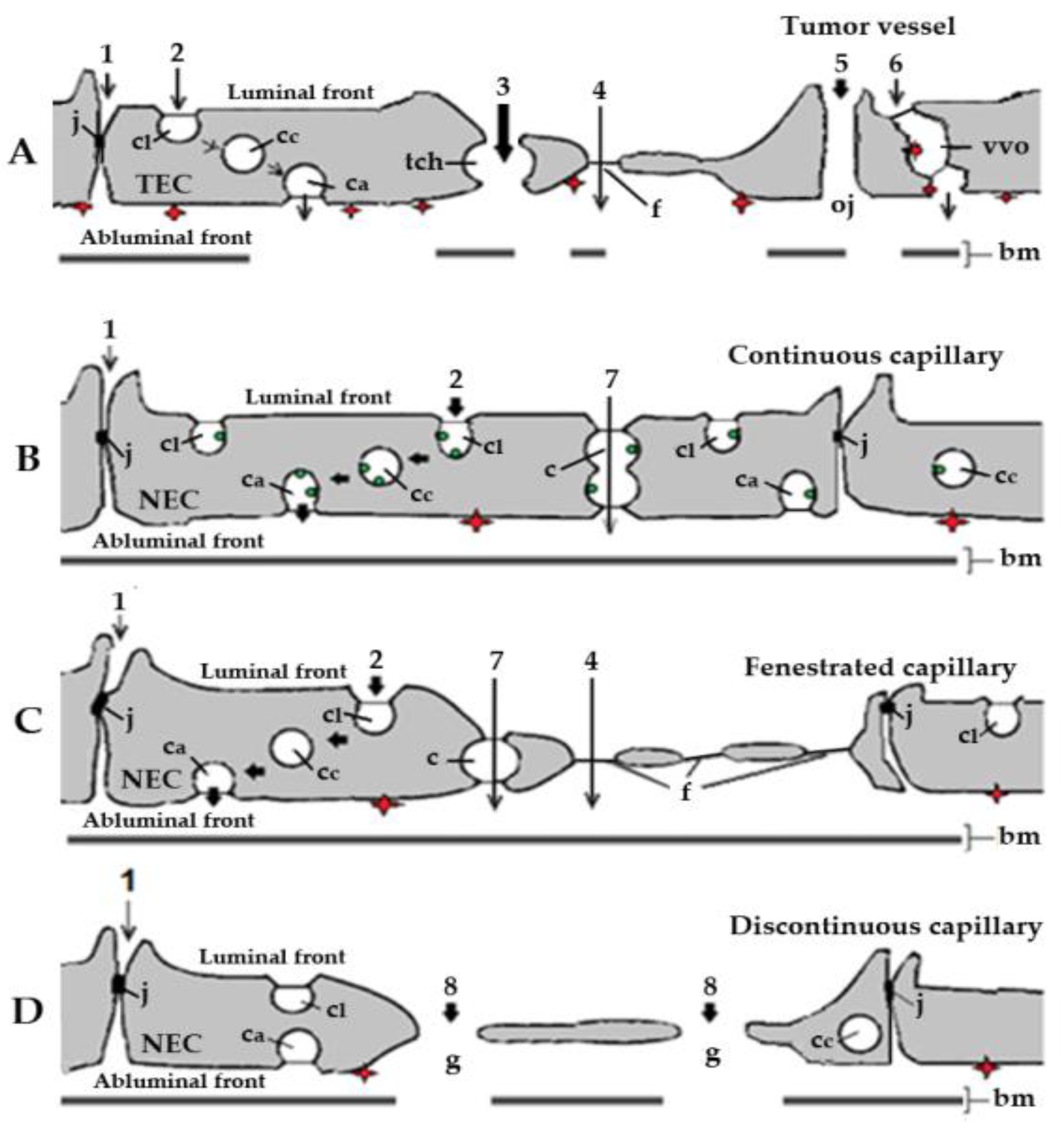 Diseases 09 00028 g001