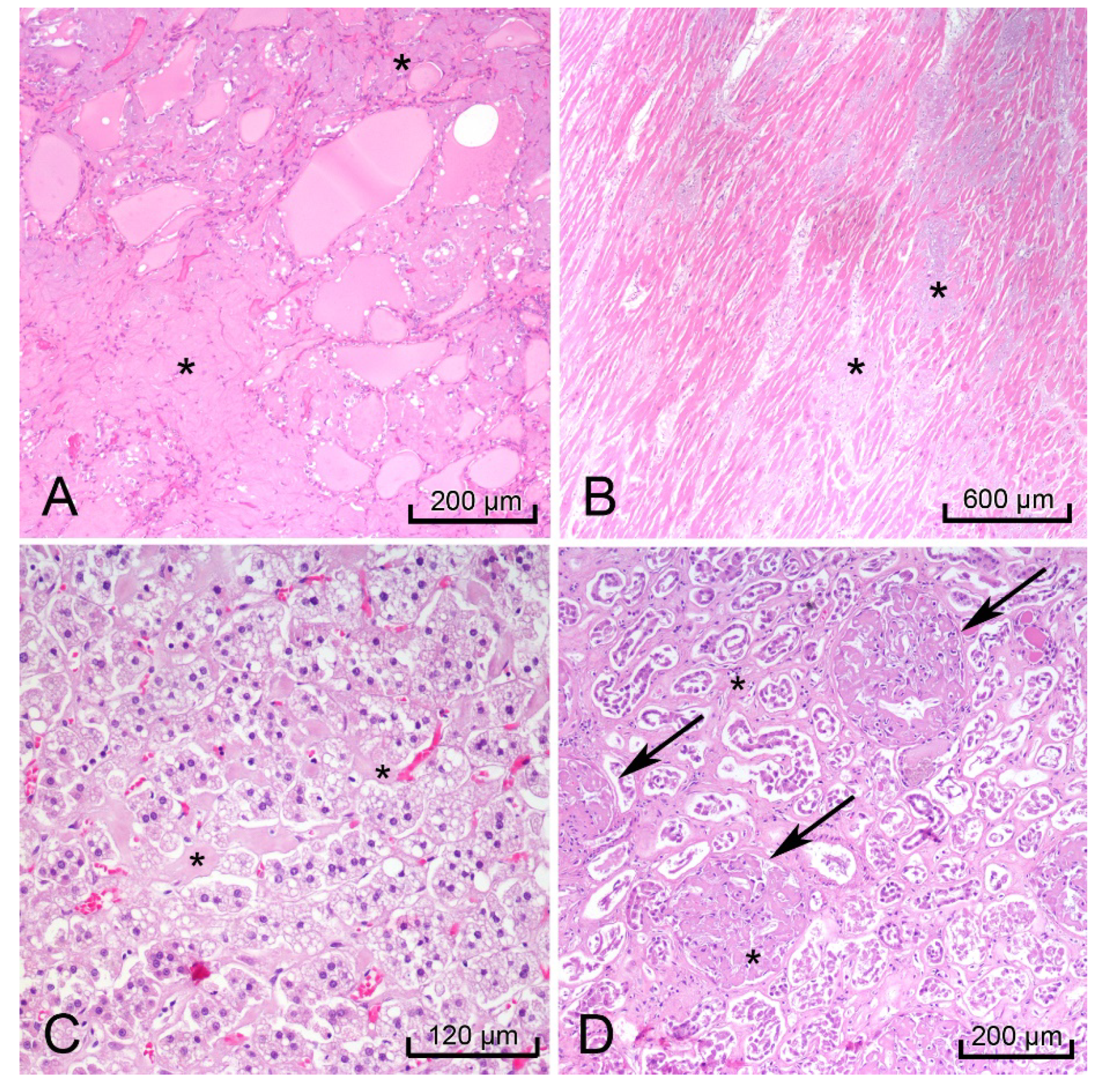 Diseases 09 00040 g003