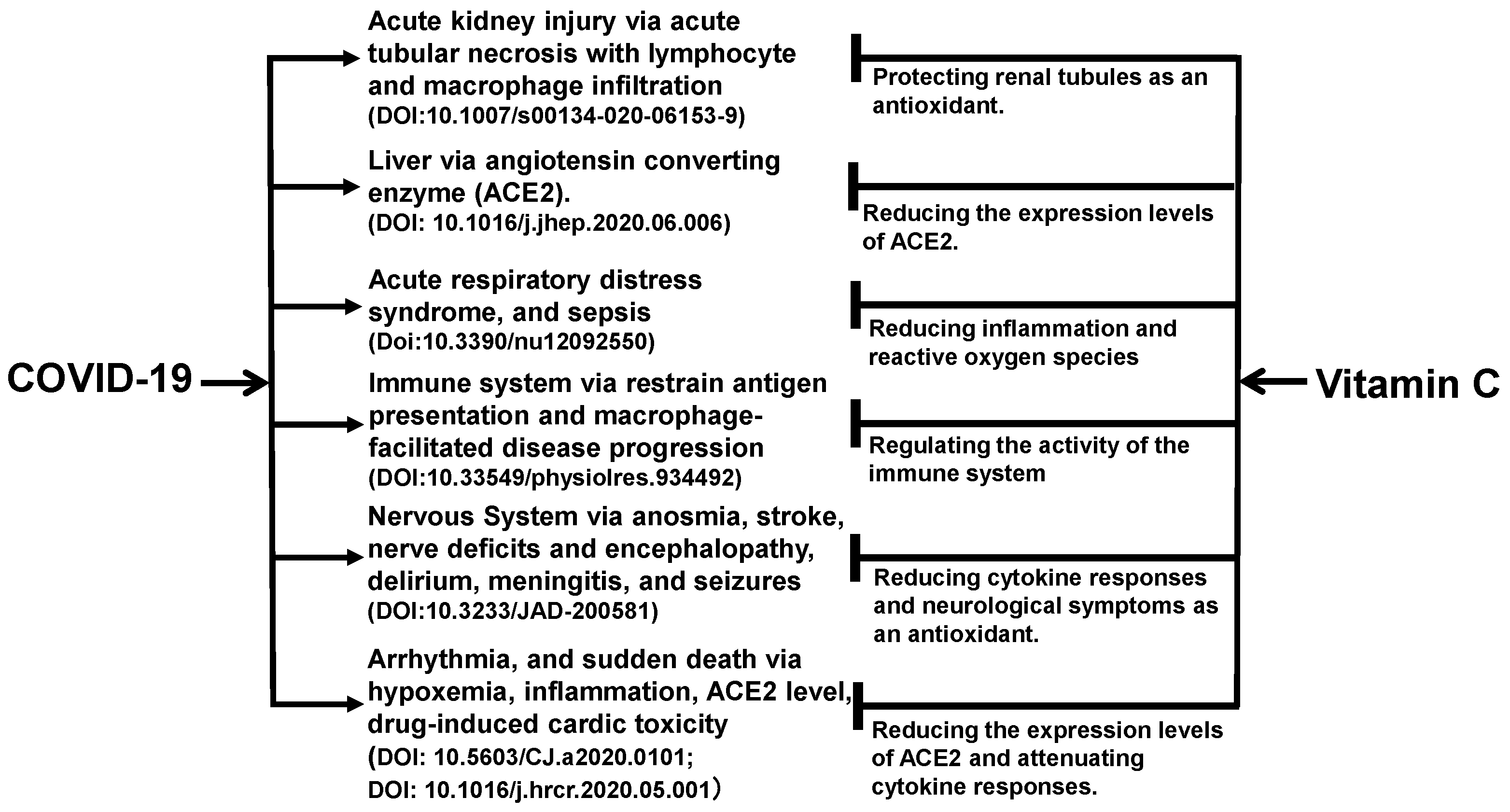 Diseases 09 00046 g001