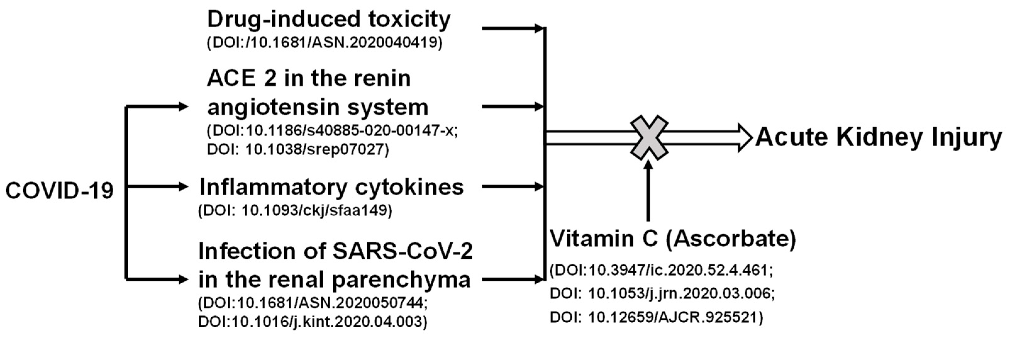 Diseases 09 00046 g002