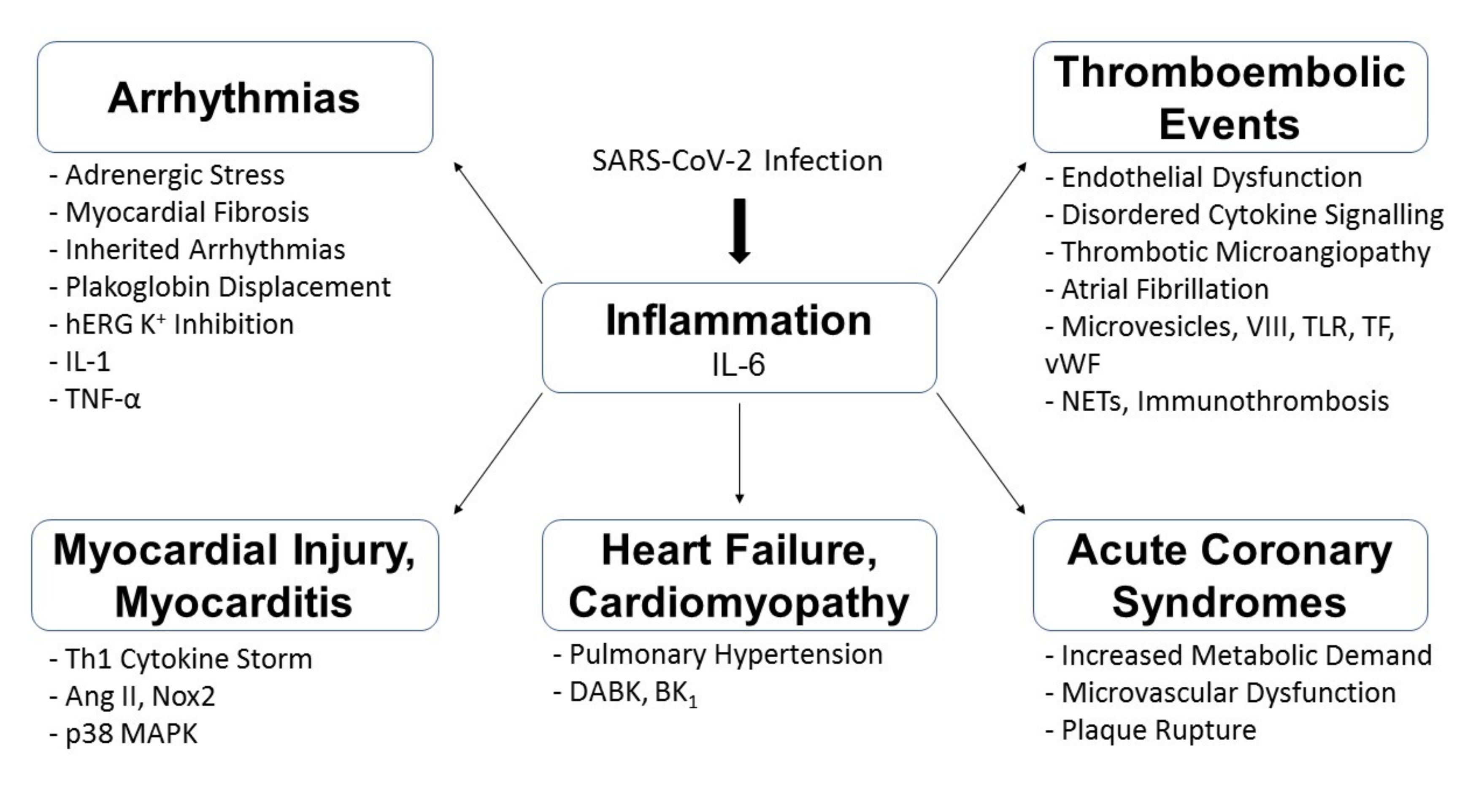 Diseases 09 00047 g002