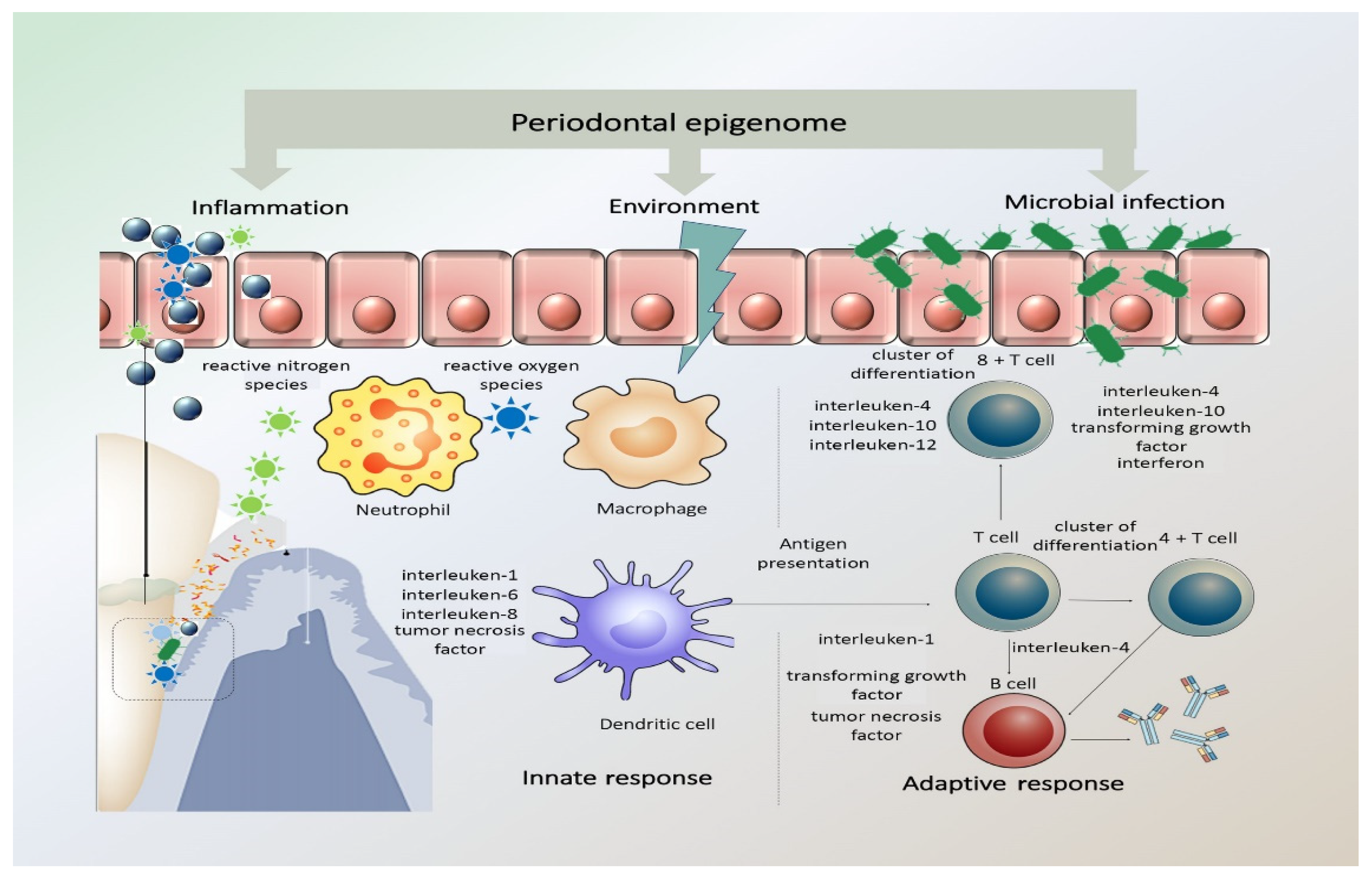 Diseases 09 00048 g001