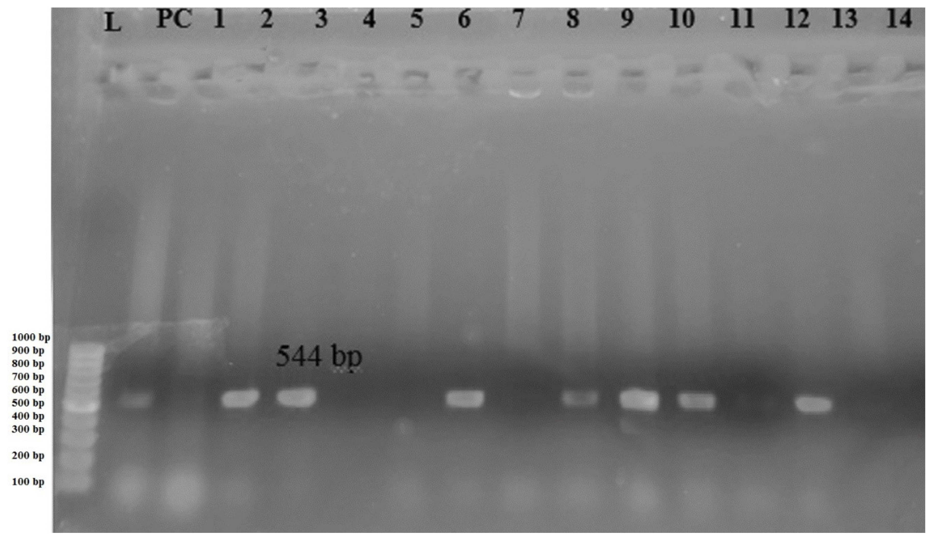Diseases 09 00059 g002 Diseases 09 00059 g002