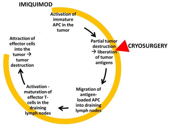 Diseases 09 00071 g001