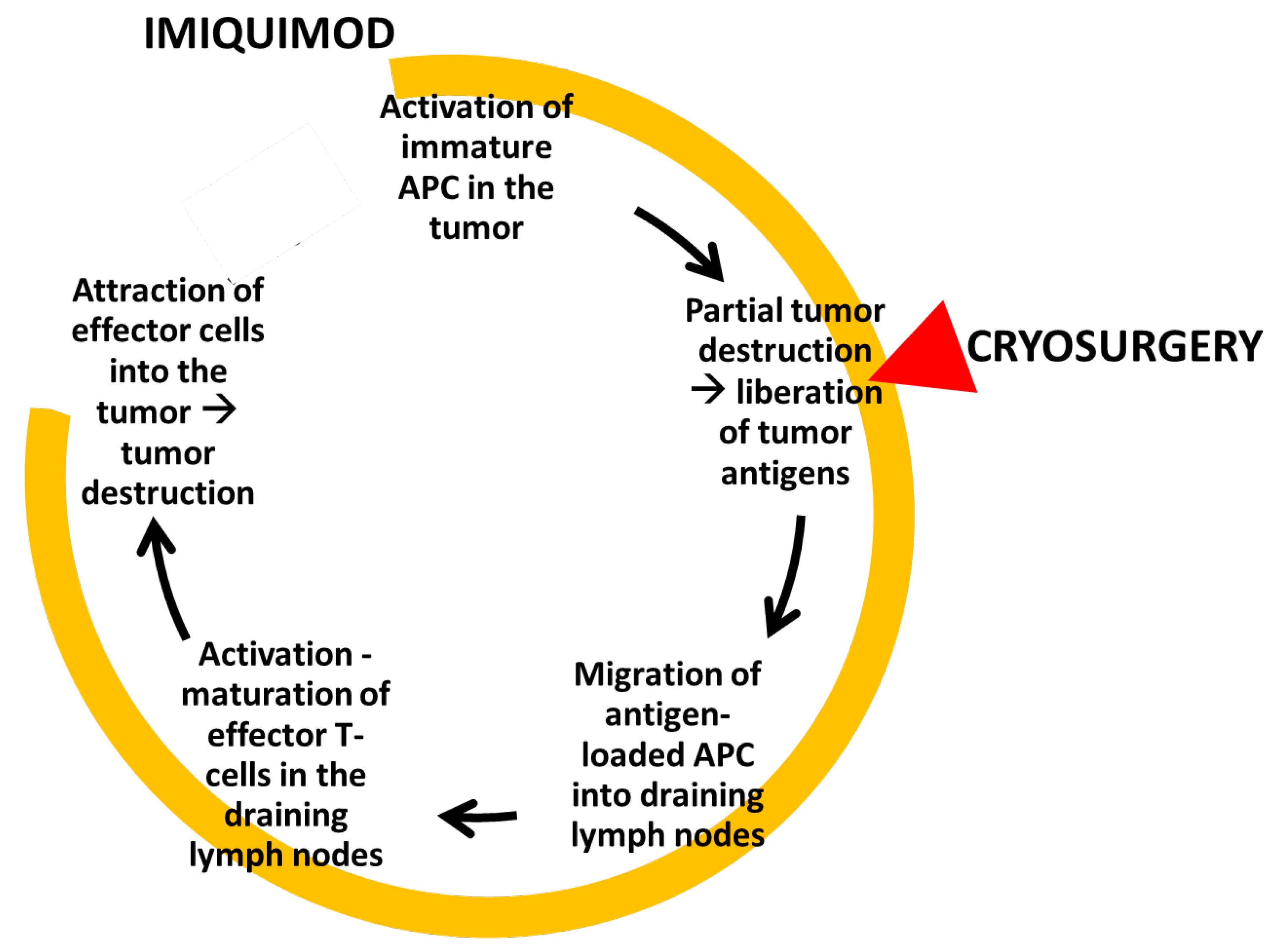Diseases 09 00071 g001 Diseases 09 00071 g001