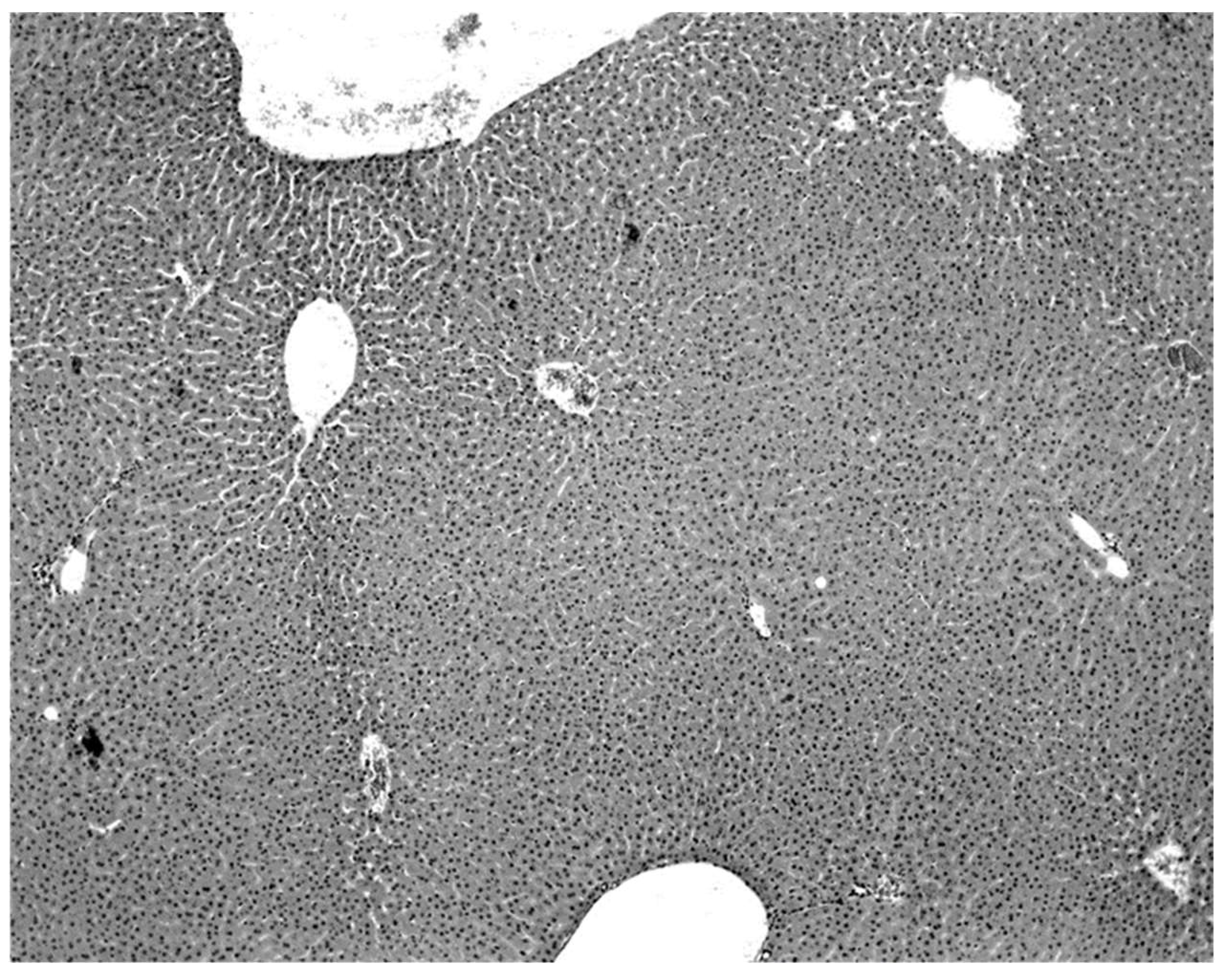 Diseases 09 00073 g003