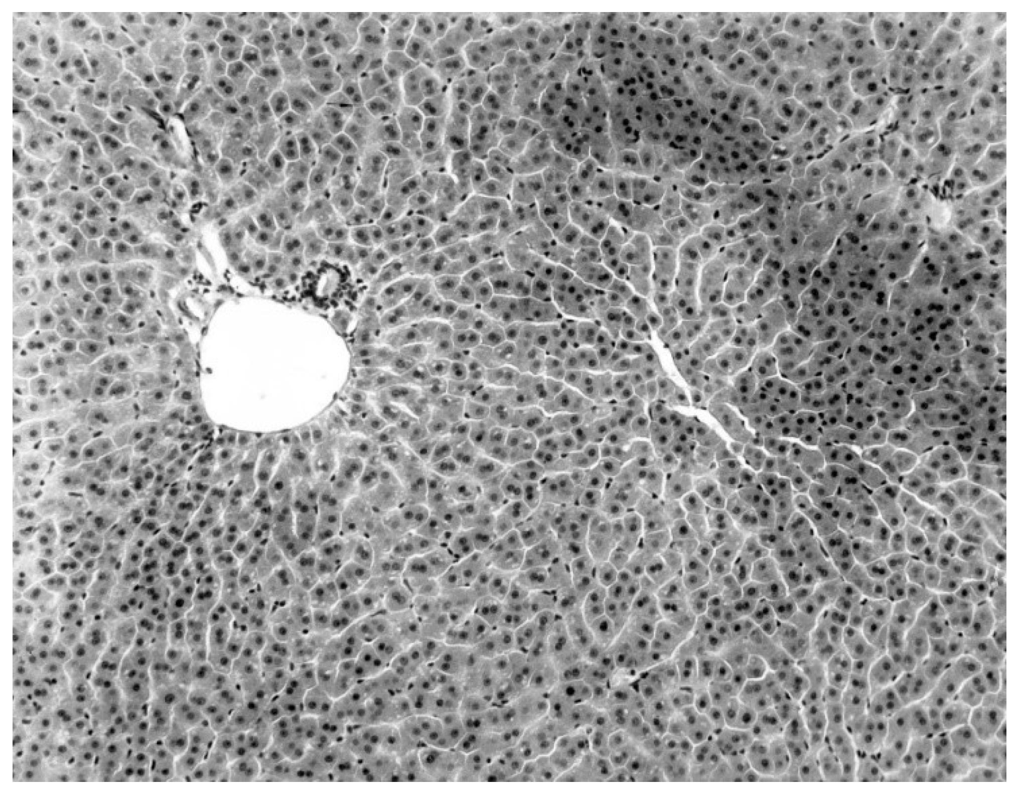 Diseases 09 00073 g005