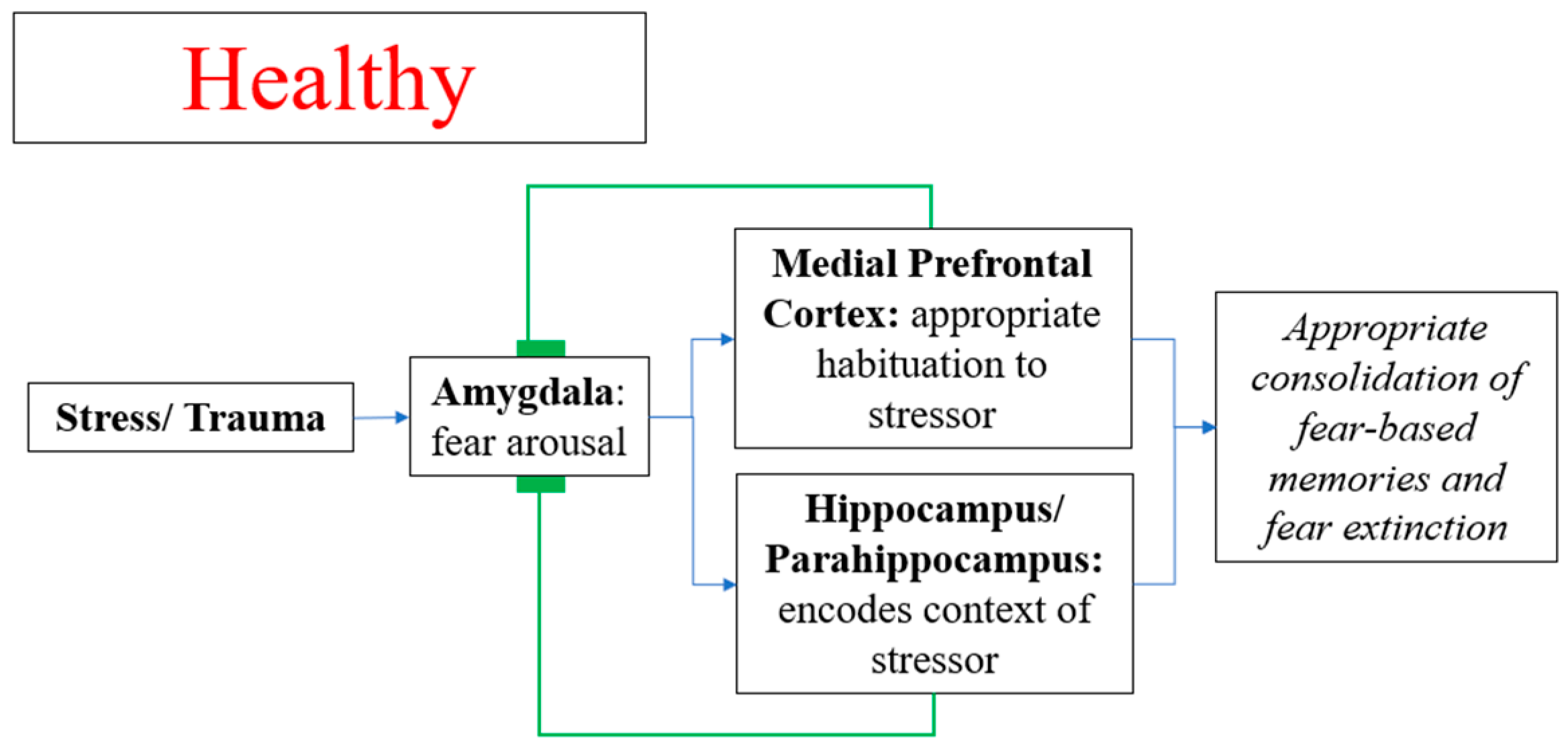 Diseases 09 00077 g001