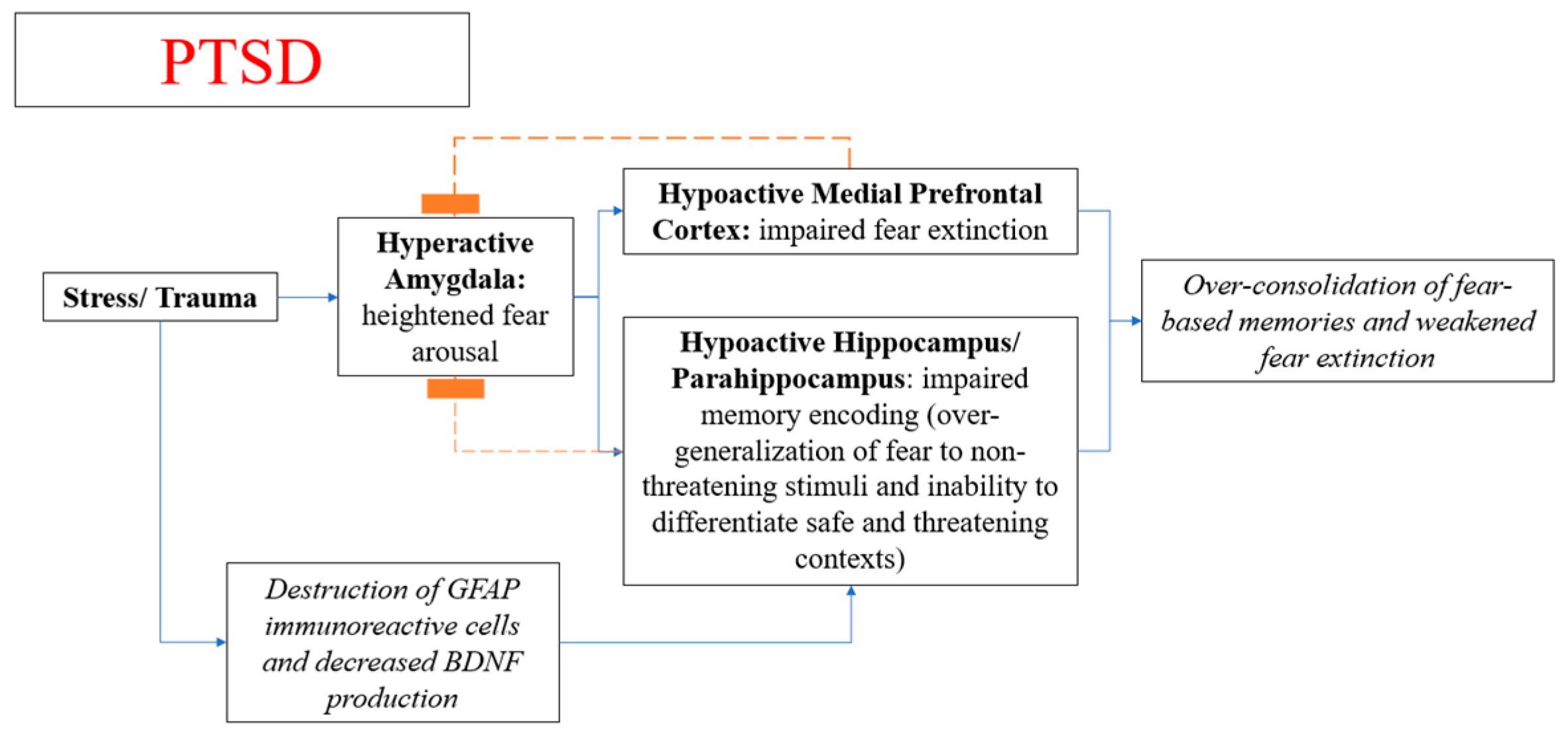 Diseases 09 00077 g002