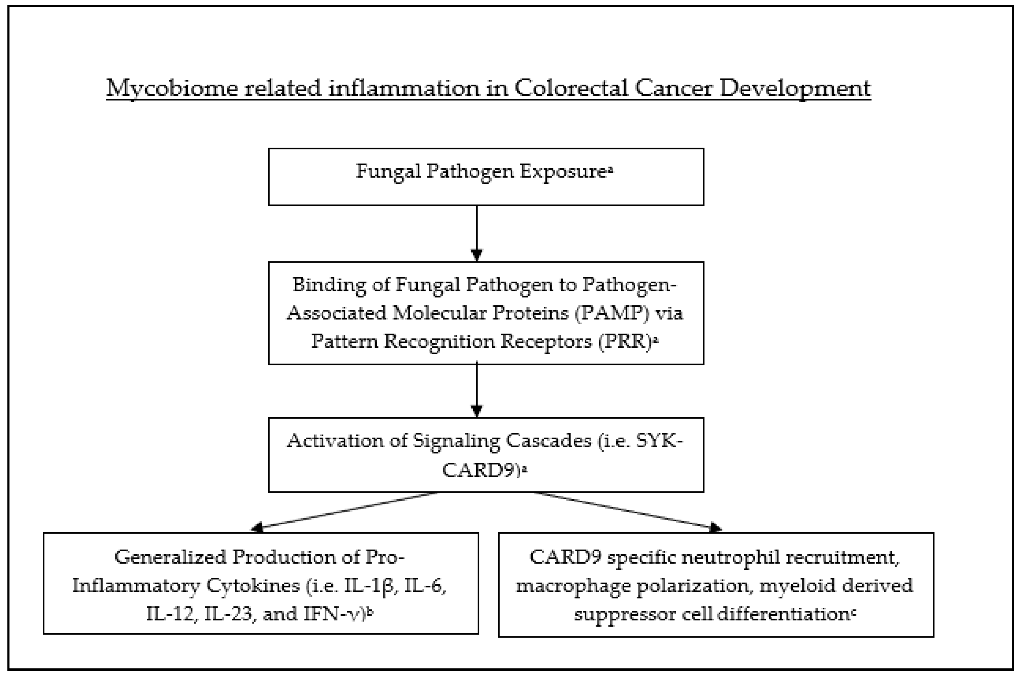 Diseases 09 00079 g003