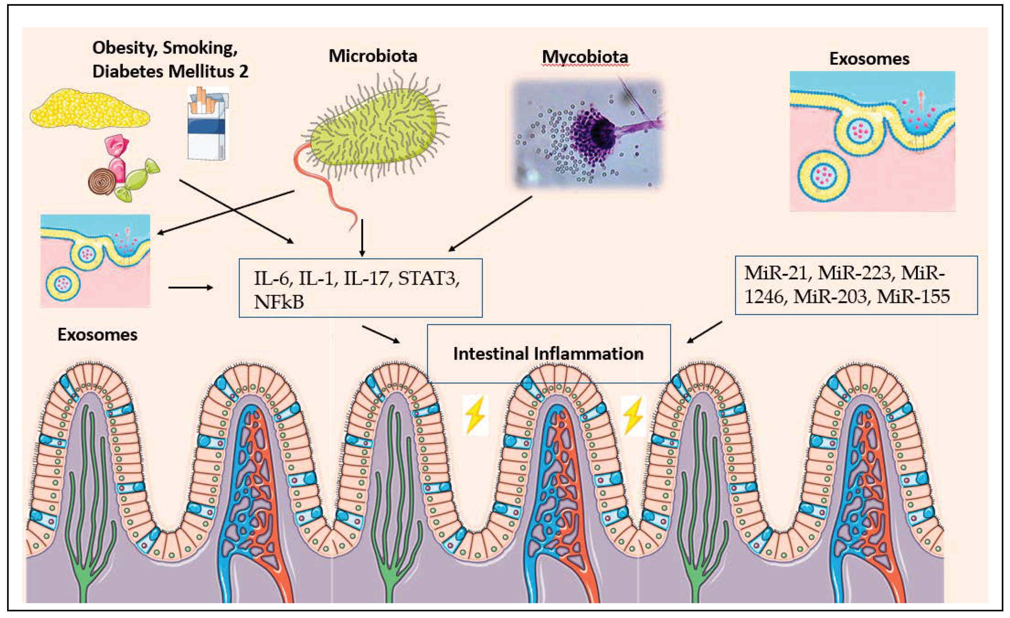 Diseases 09 00079 g006
