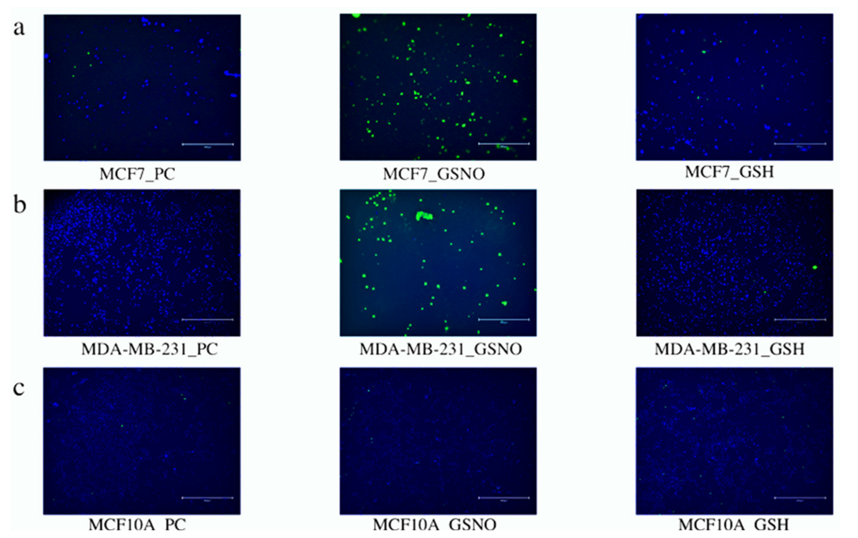 Diseases 09 00082 g008