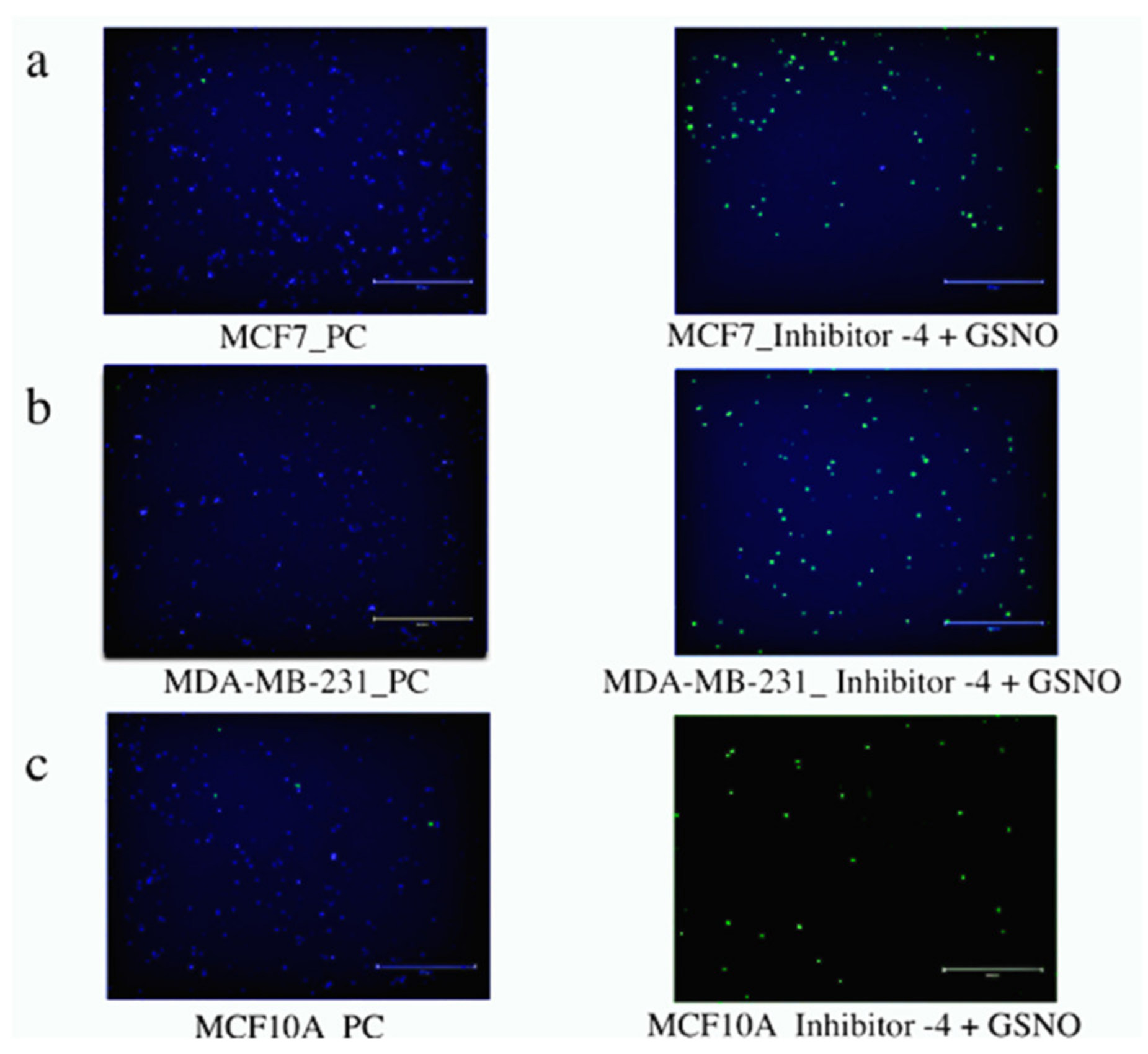 Diseases 09 00082 g009