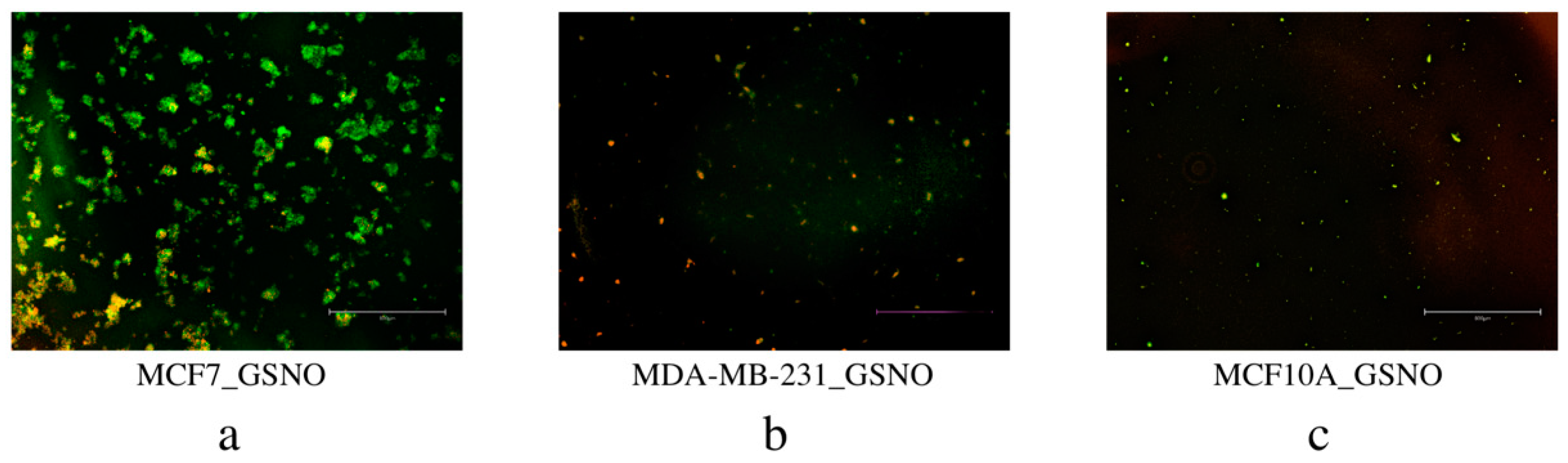 Diseases 09 00082 g012