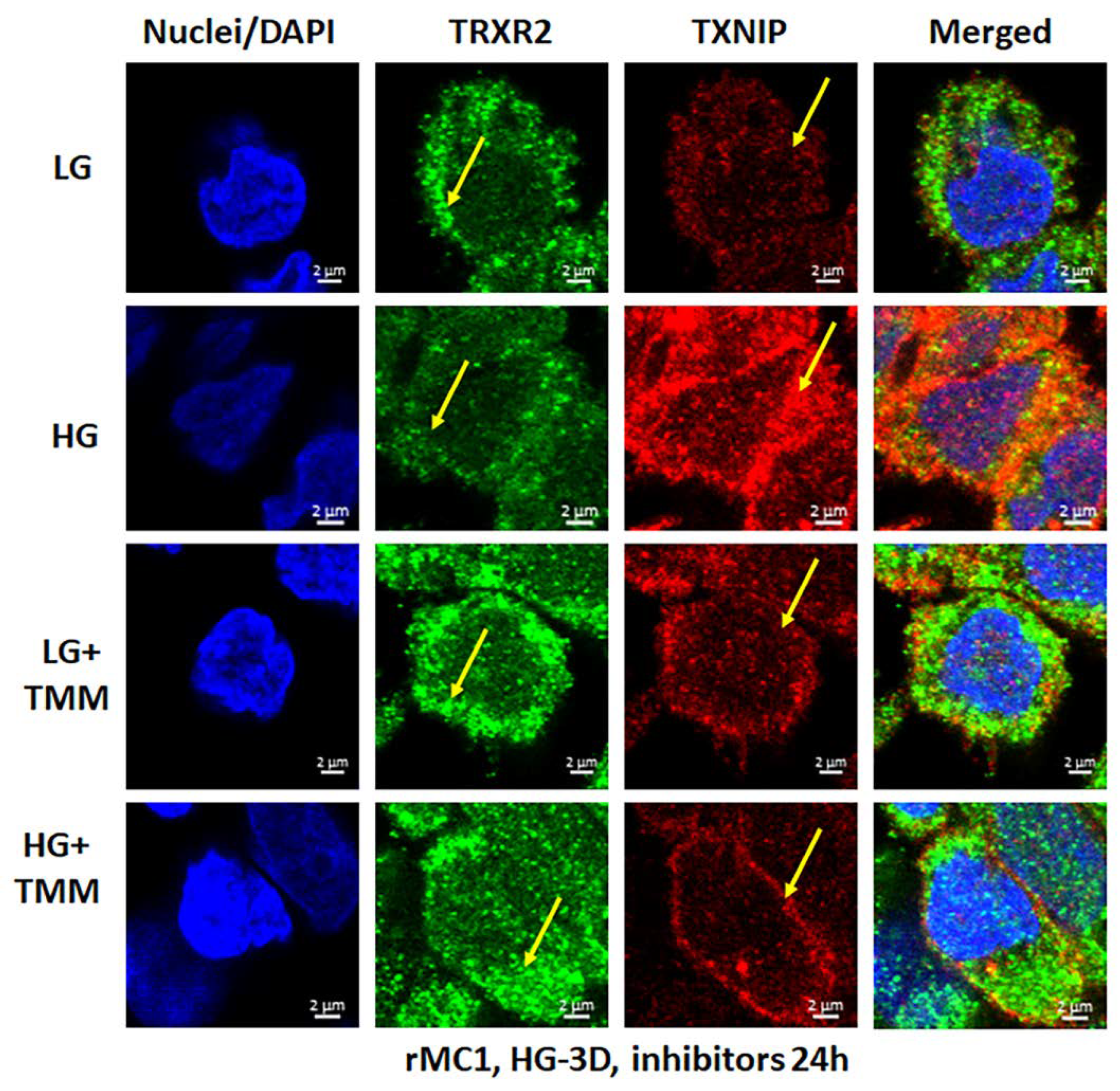 Diseases 09 00091 g006