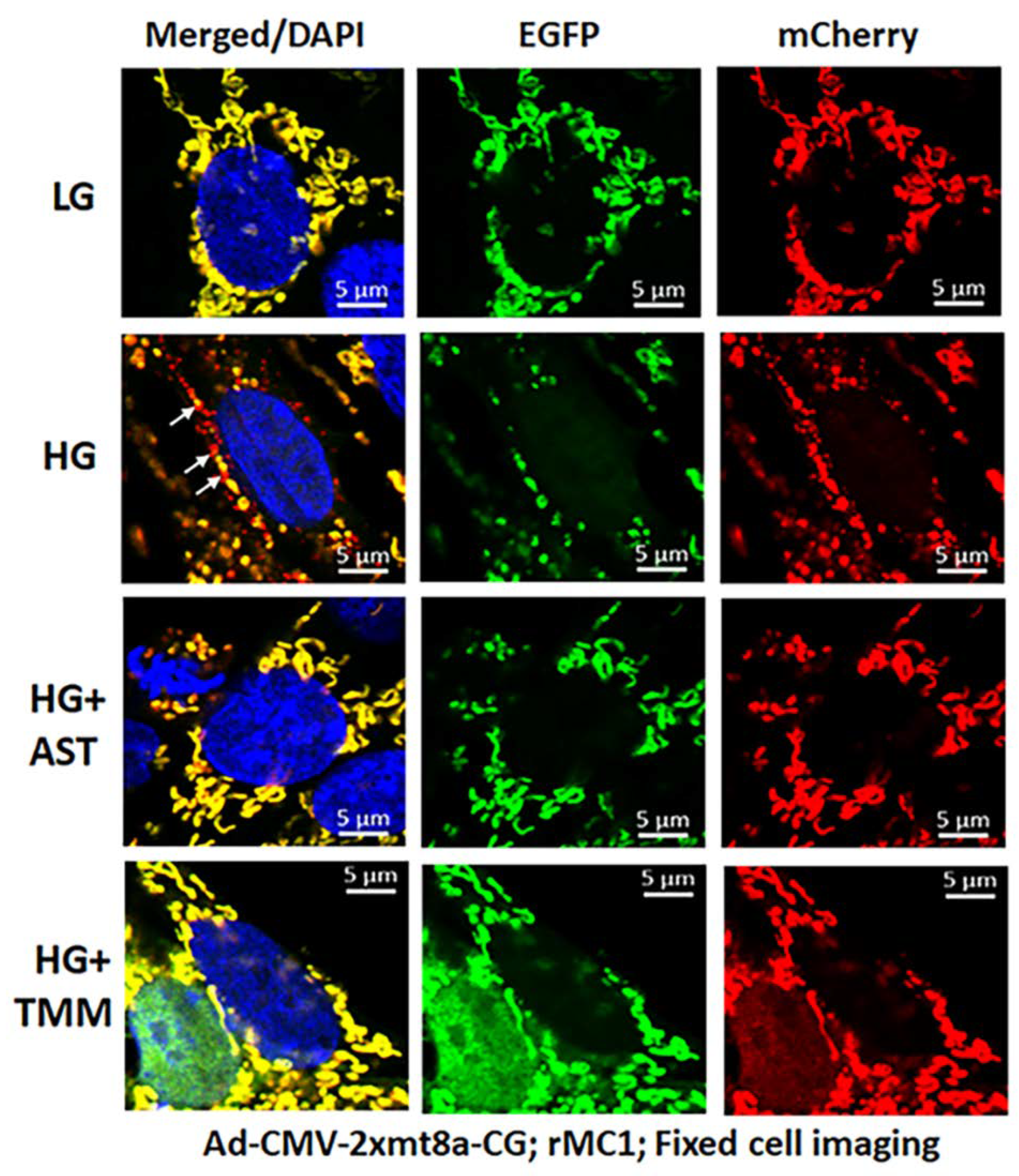 Diseases 09 00091 g008