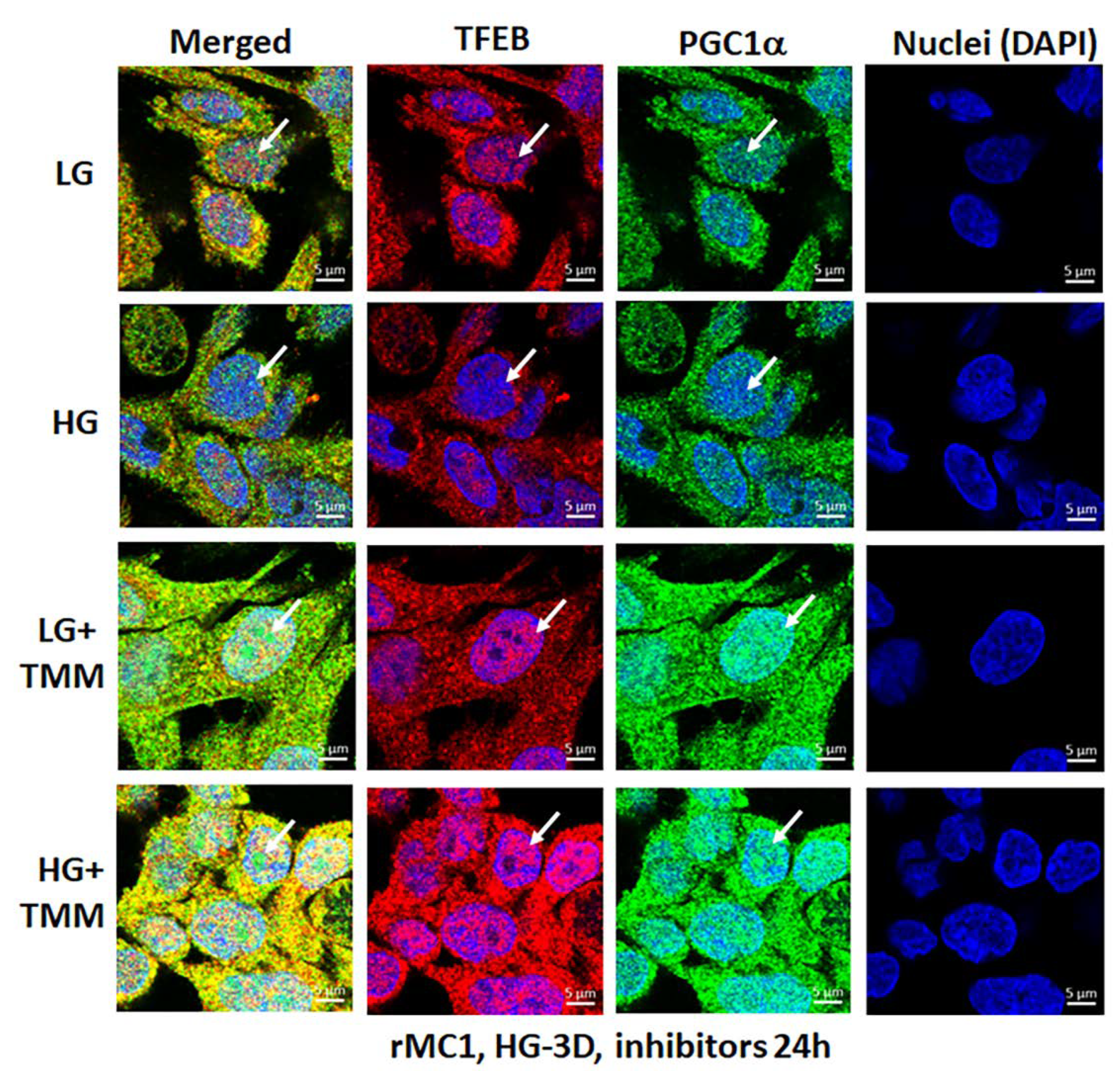 Diseases 09 00091 g009
