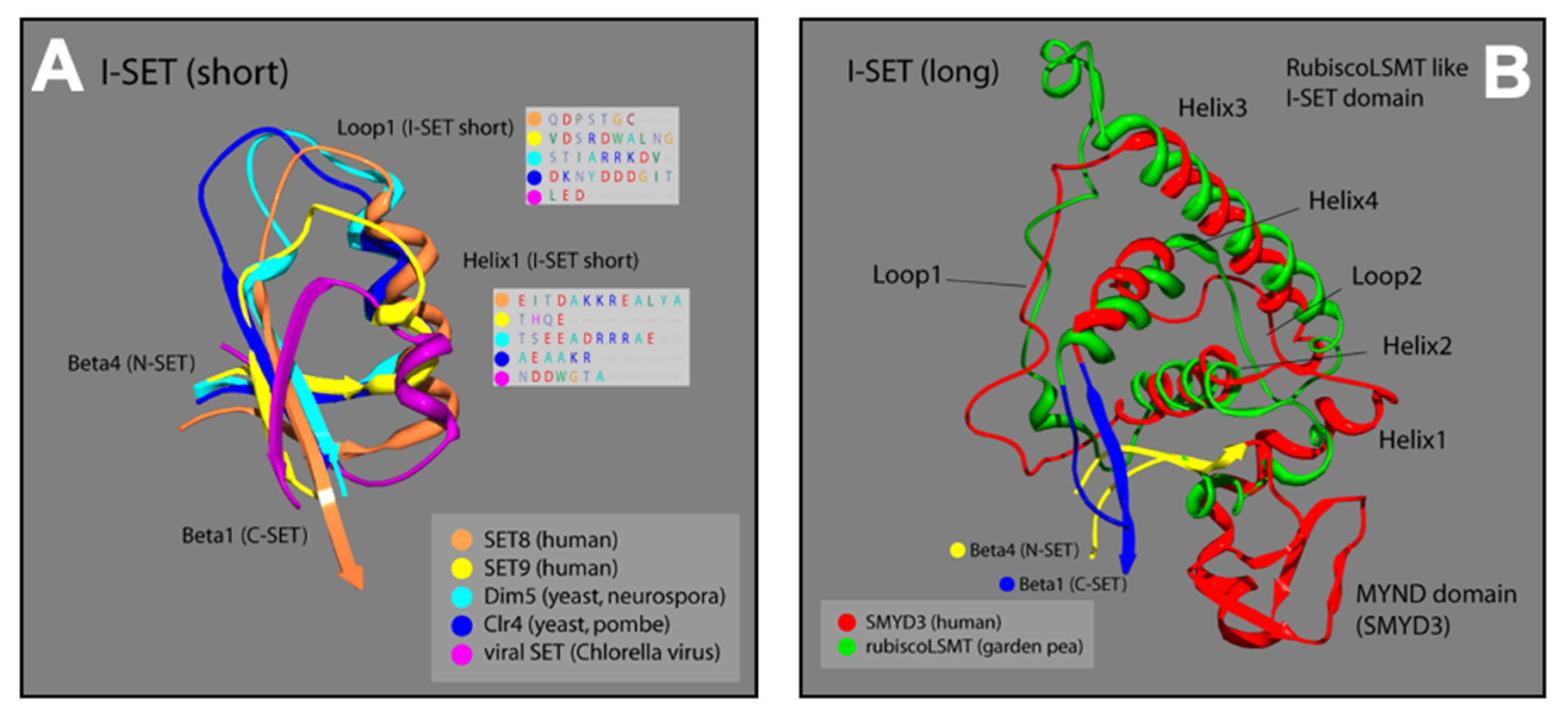 Diseases 10 00004 g004