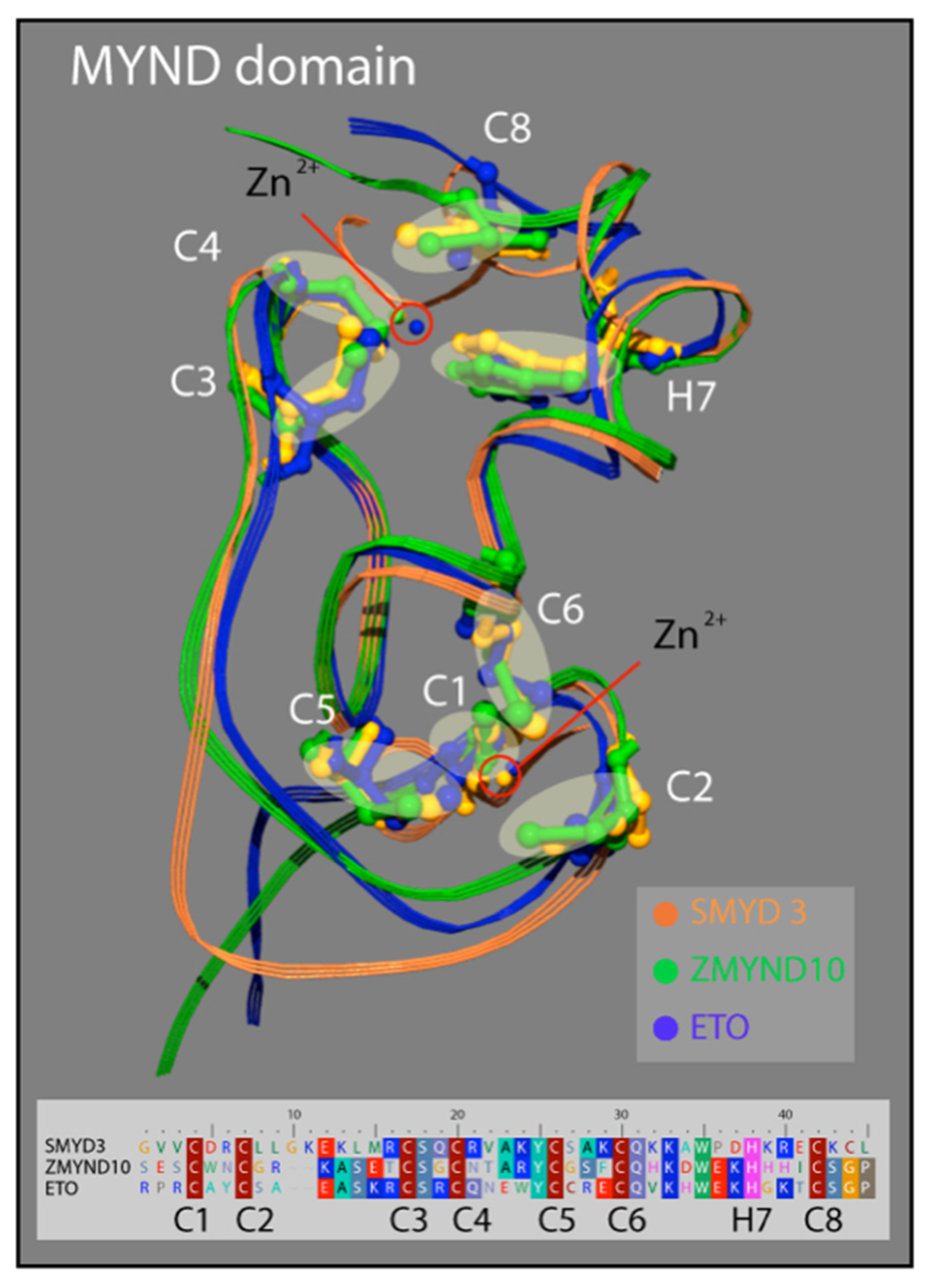 Diseases 10 00004 g005