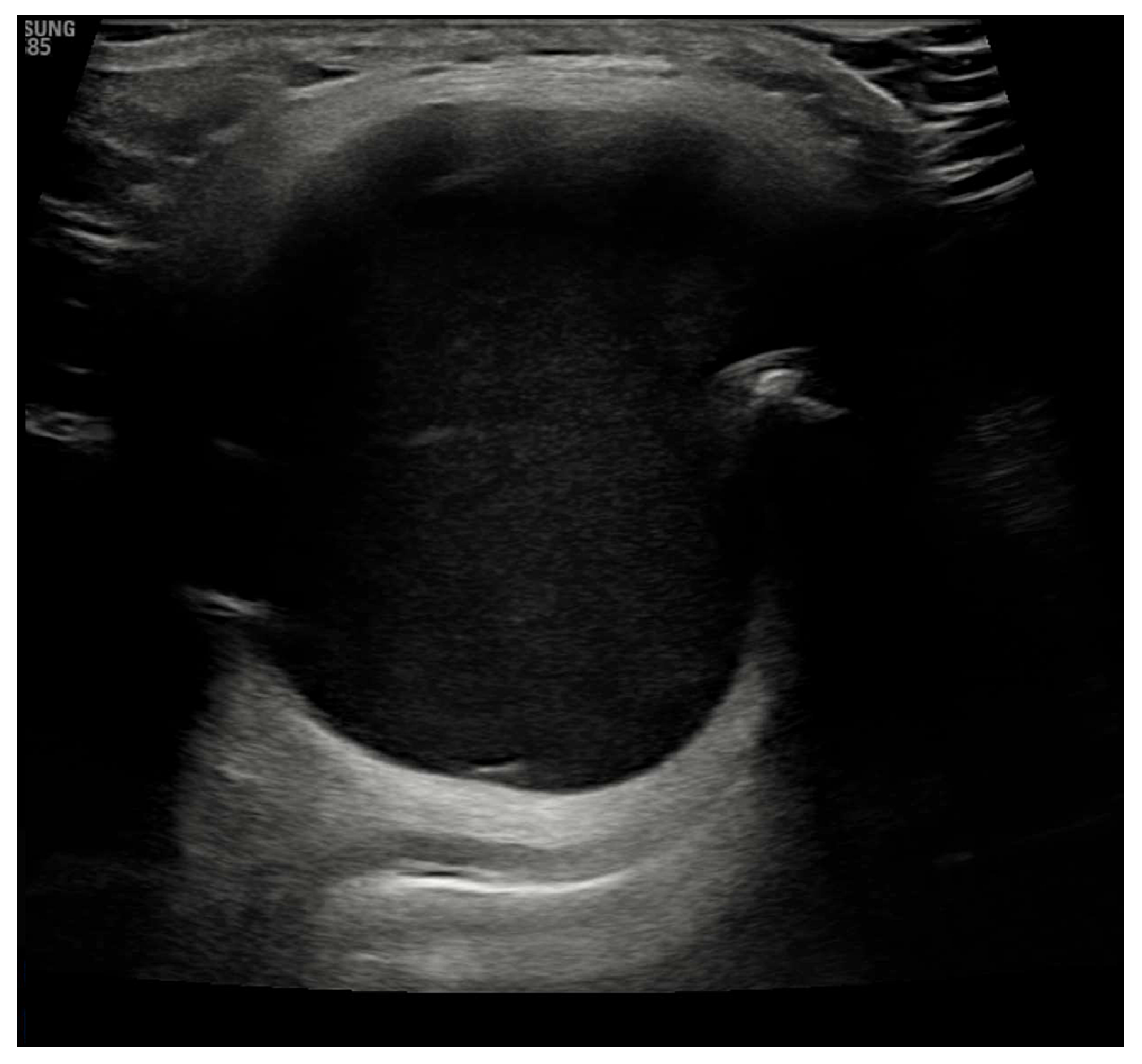 Diseases 10 00007 g002